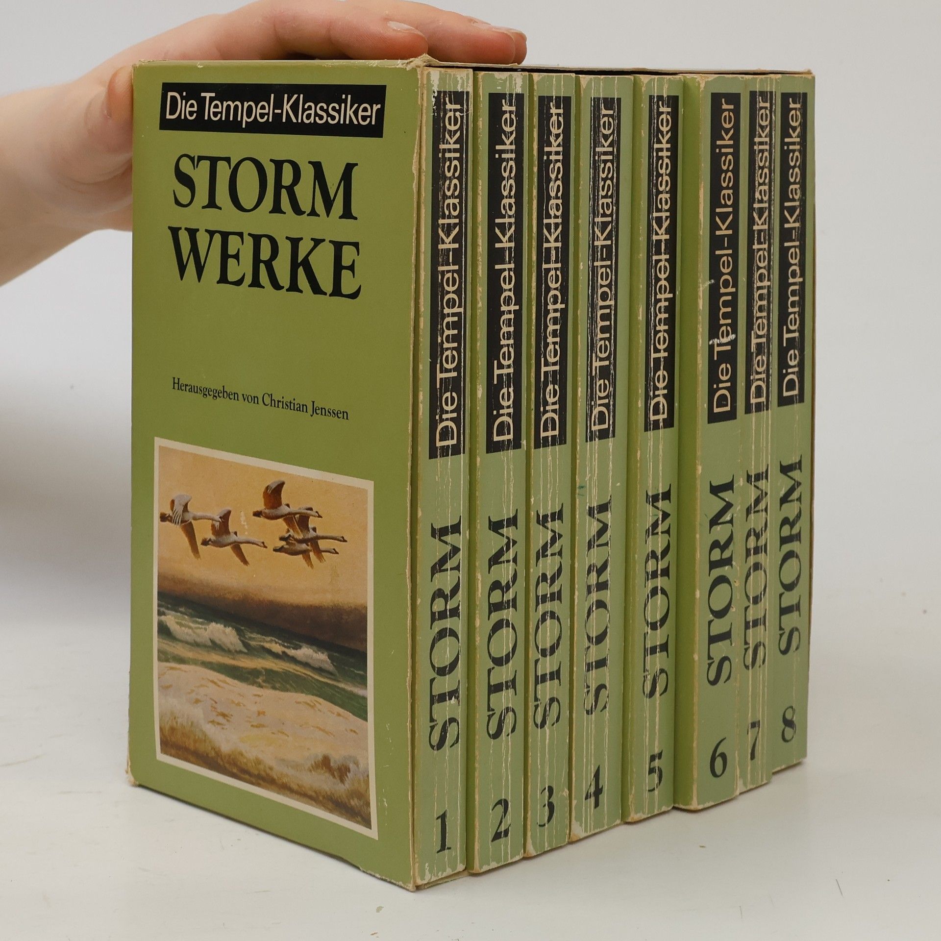 Christian Jenssen Die Tempel-Klassiker. Storm Werke 1-8