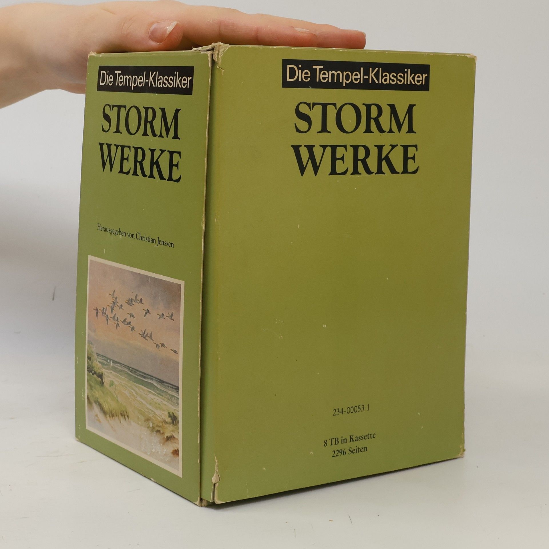 Christian Jenssen Die Tempel-Klassiker. Storm Werke 1-8