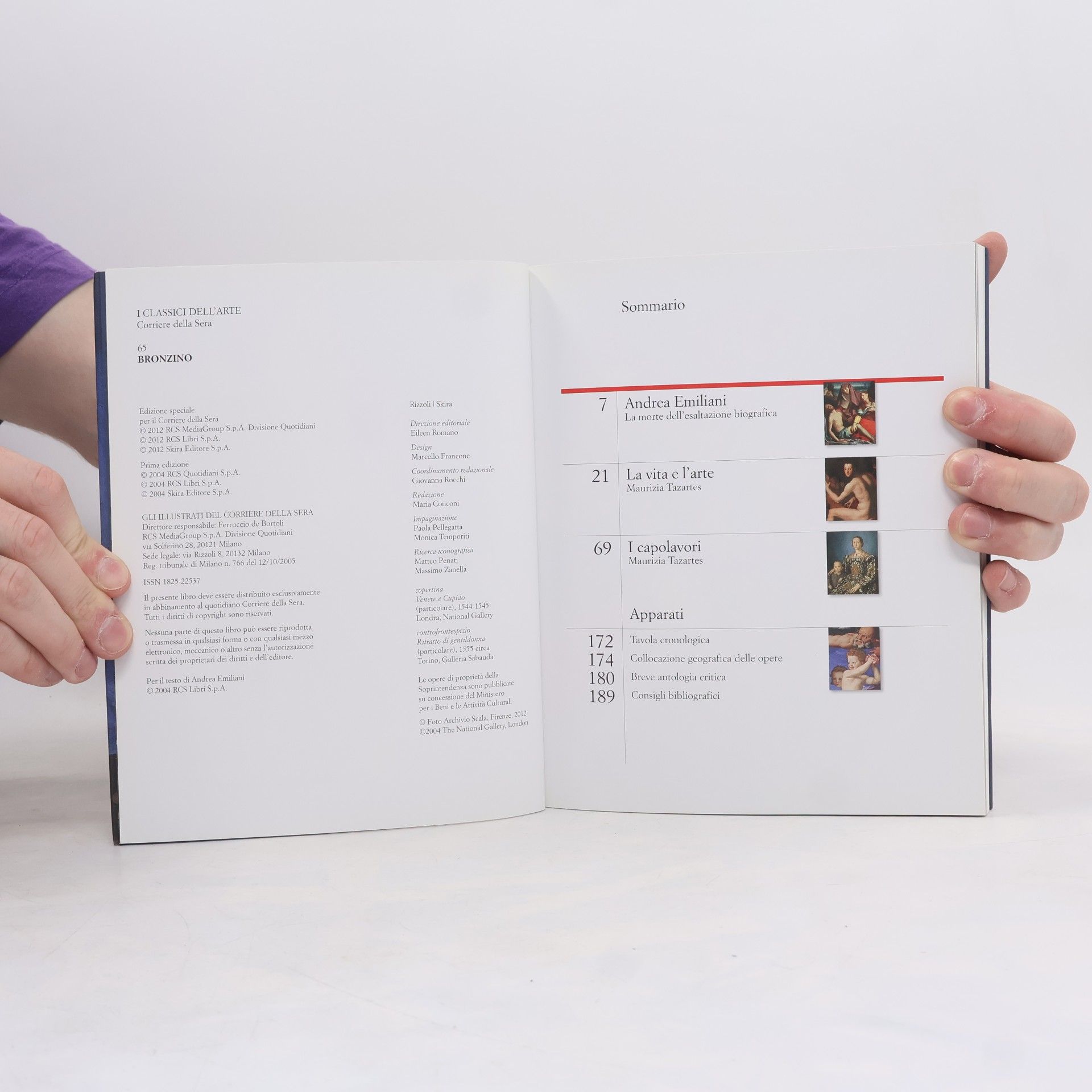 Autorenkollektiv Bronzino