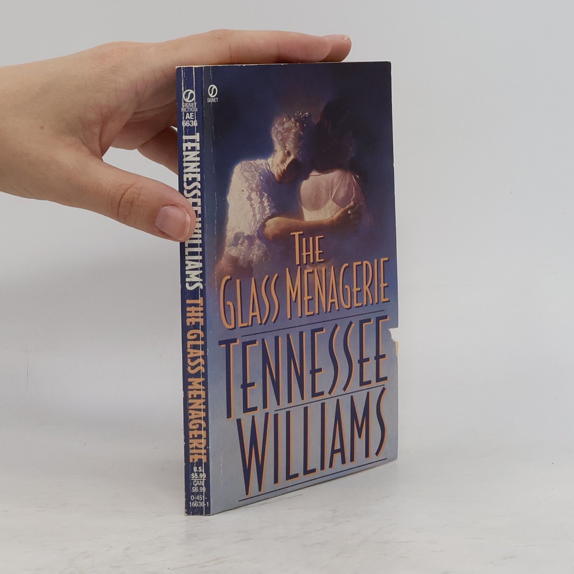 Tennessee Williams The Glass Menagerie