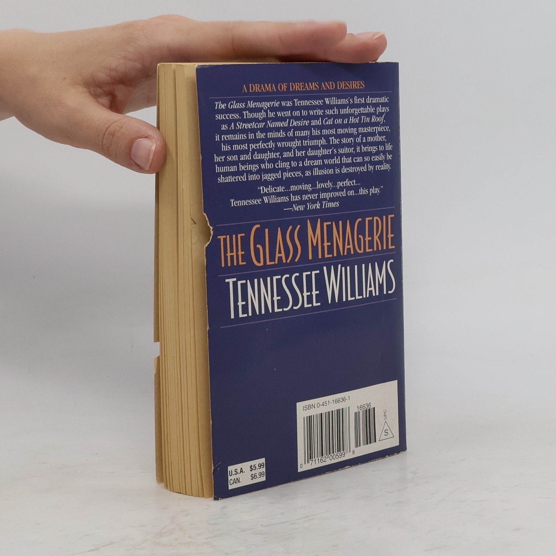 Tennessee Williams The Glass Menagerie