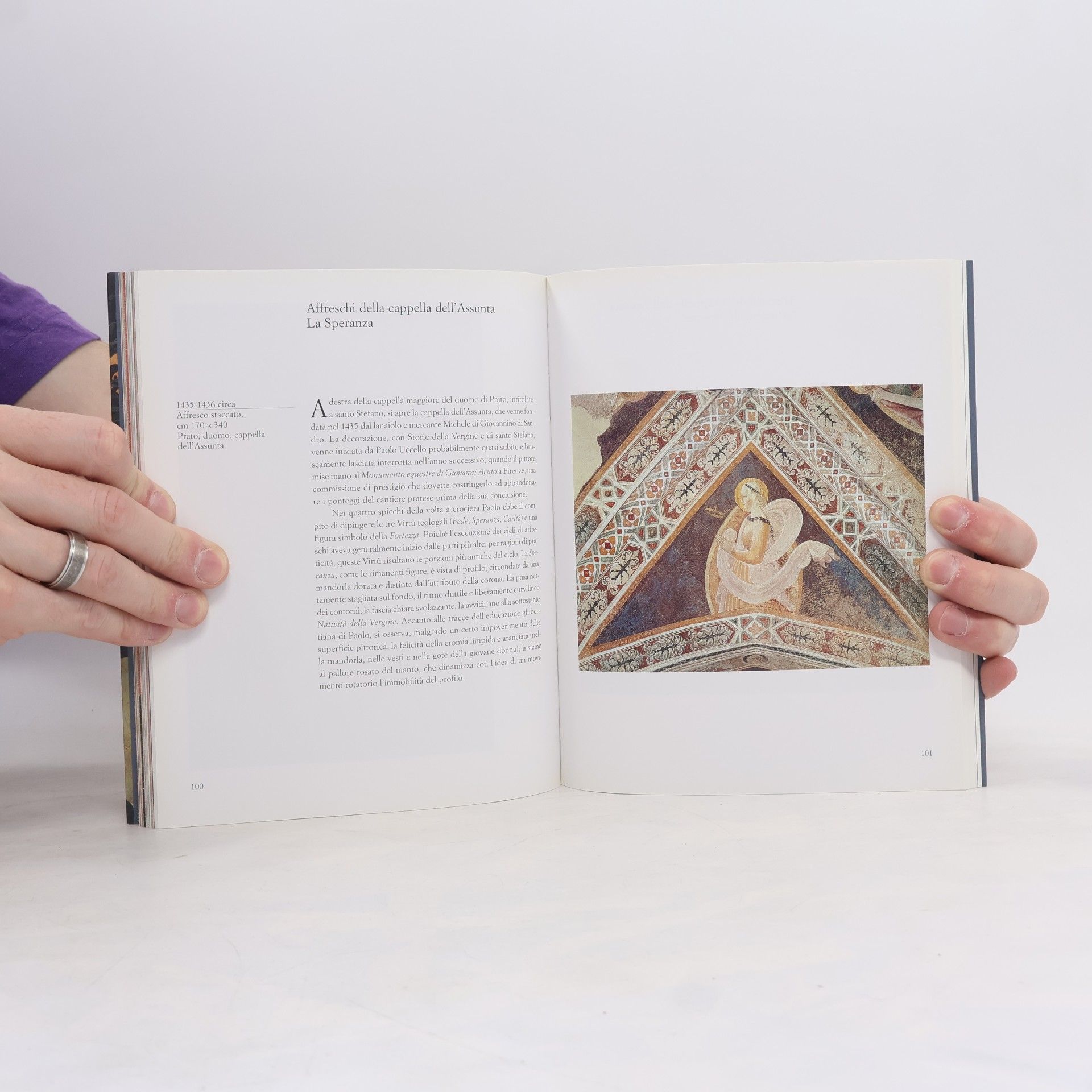 Collectif d'auteurs Paolo Uccello