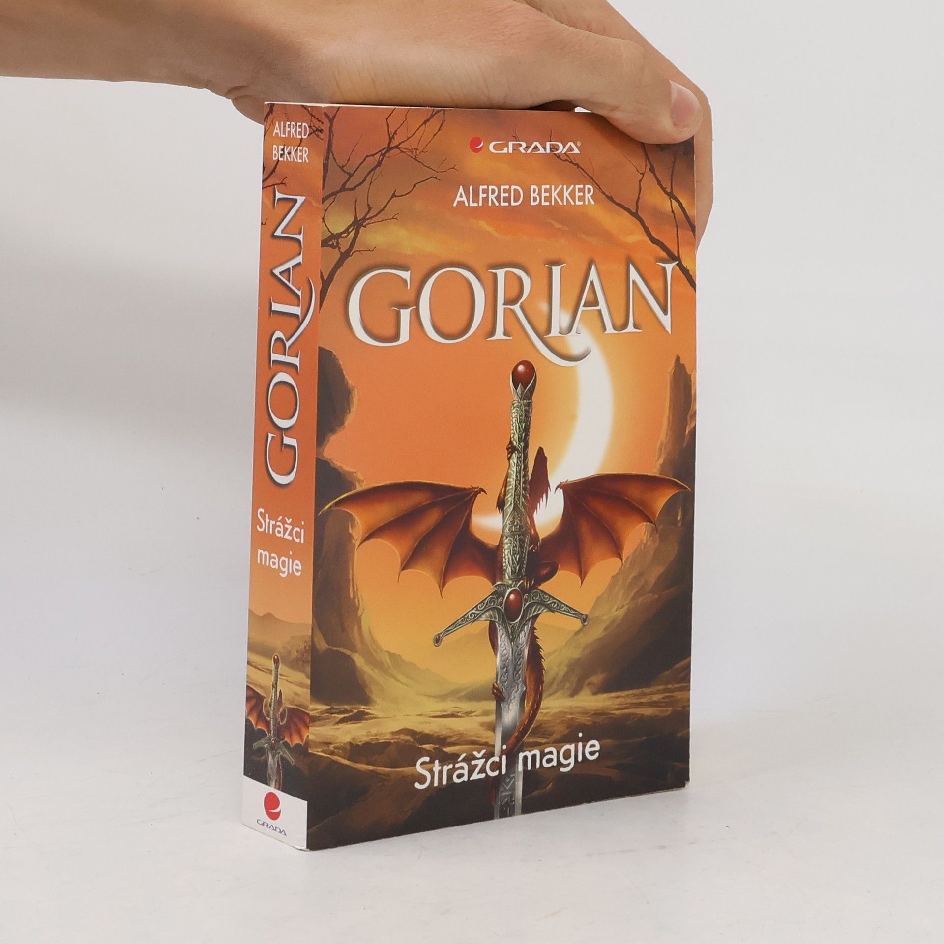 Alfred Bekker Gorian. Strážci magie