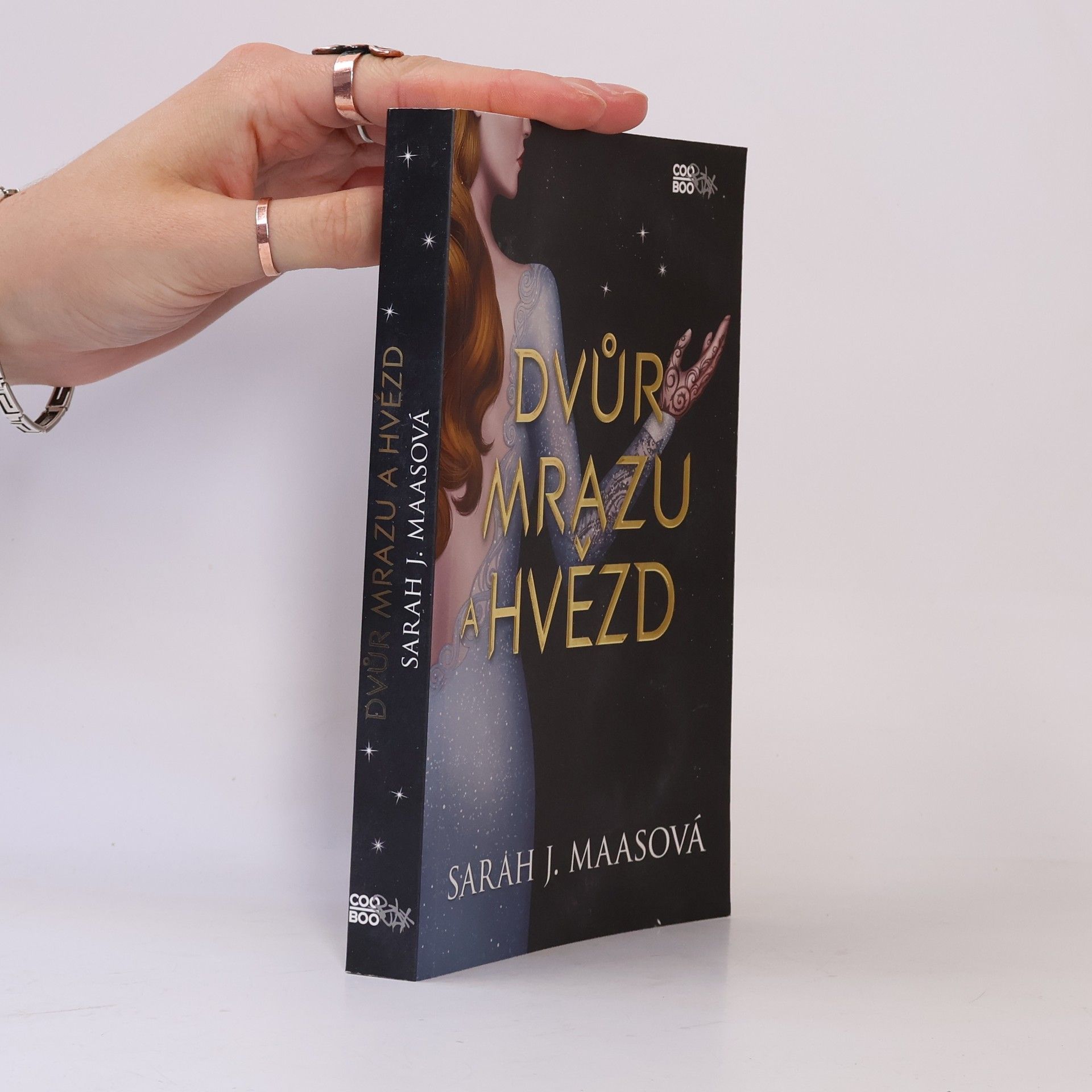 Sarah J. Maas Dvůr mrazu a hvězd