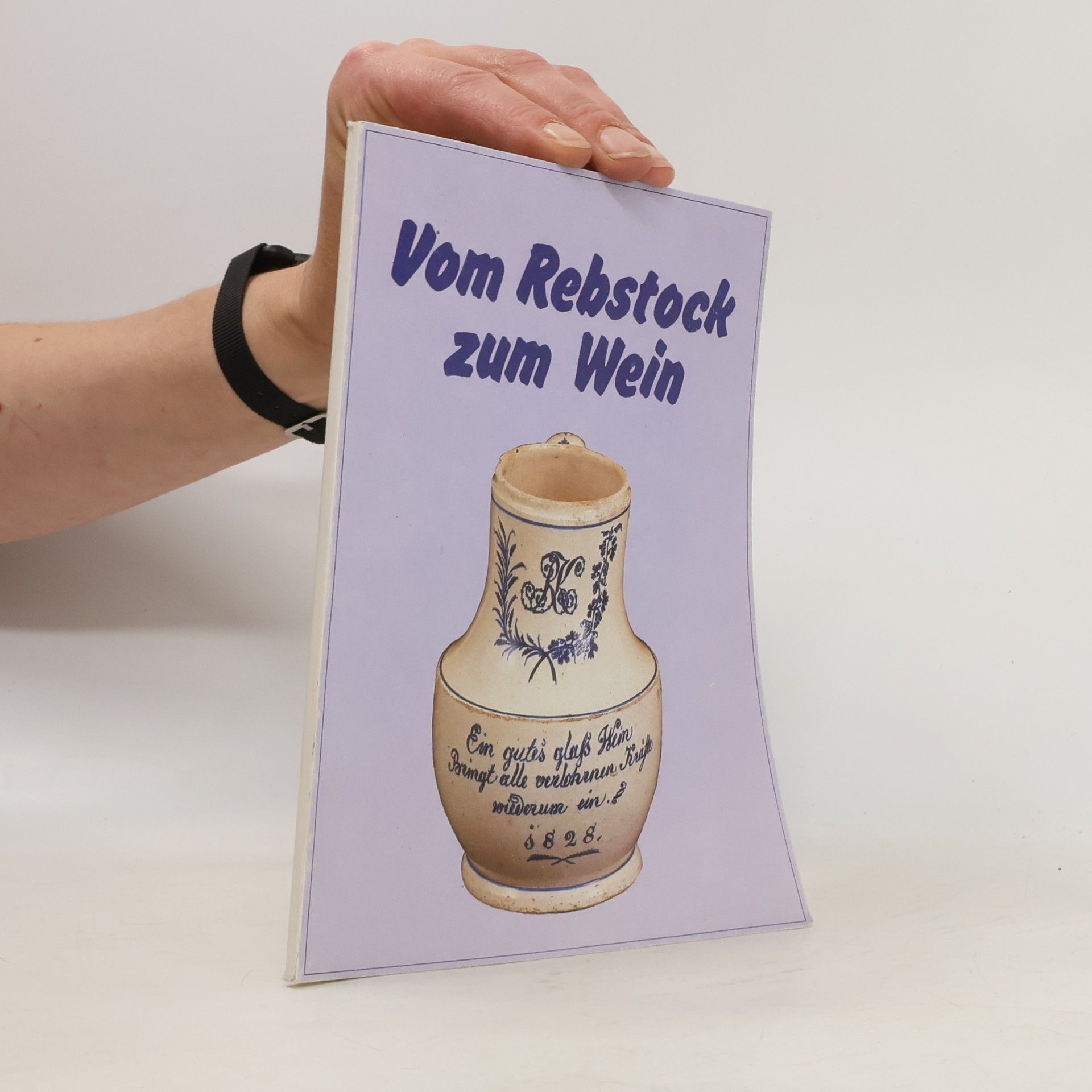 Autorenkollektiv Vom Rebstock zum Wein
