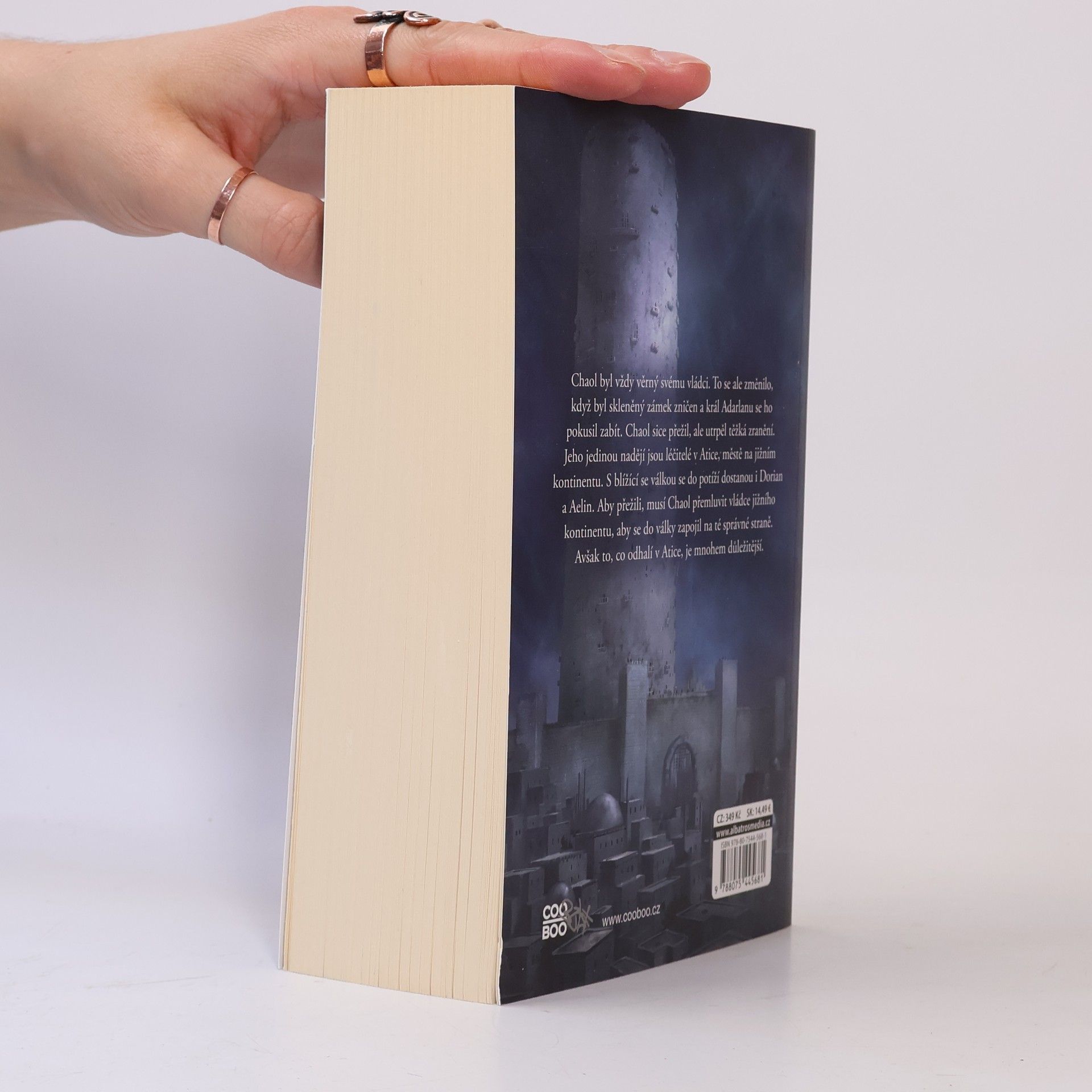 Sarah J. Maas Věž úsvitu