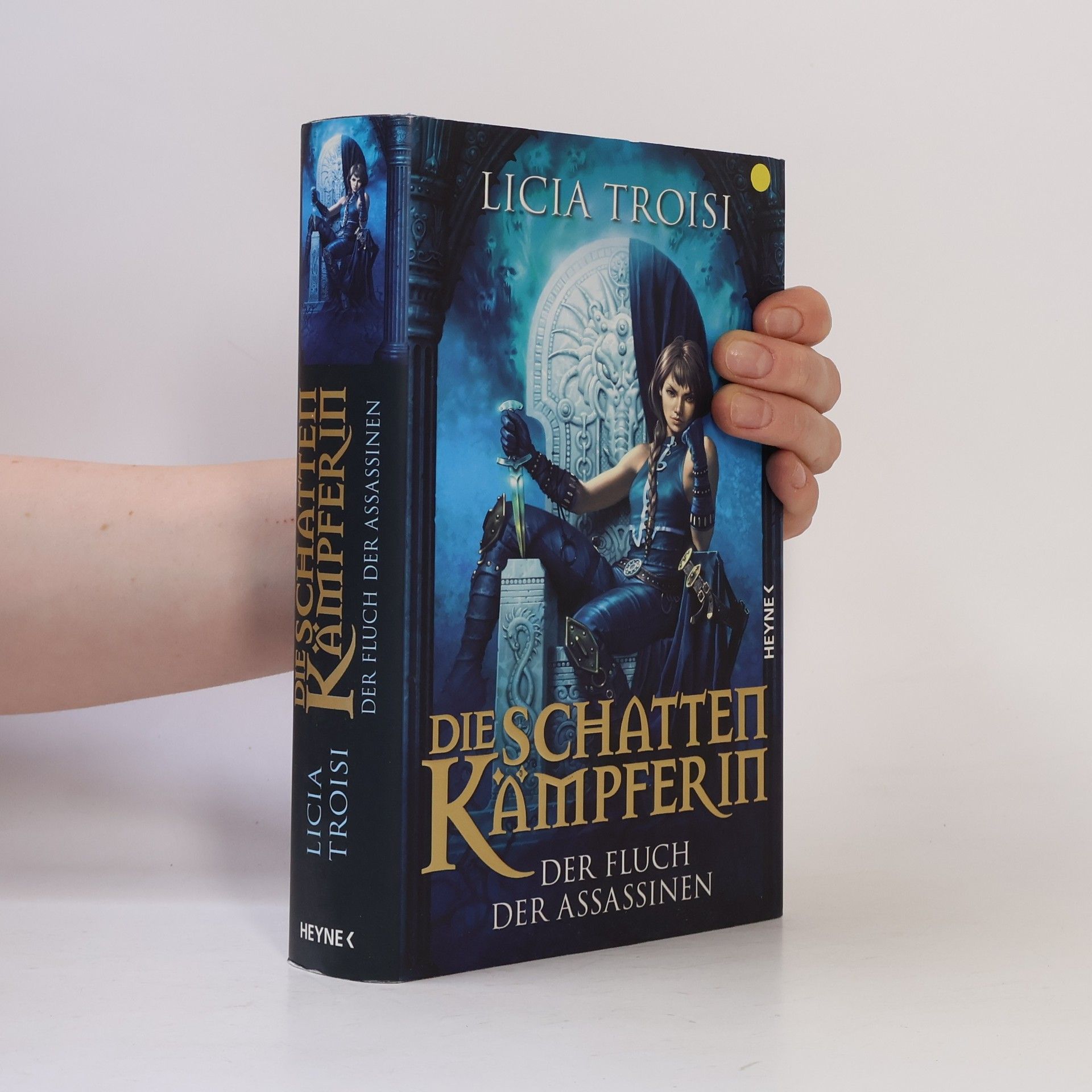 Licia Troisi Die Schattenkämpferin