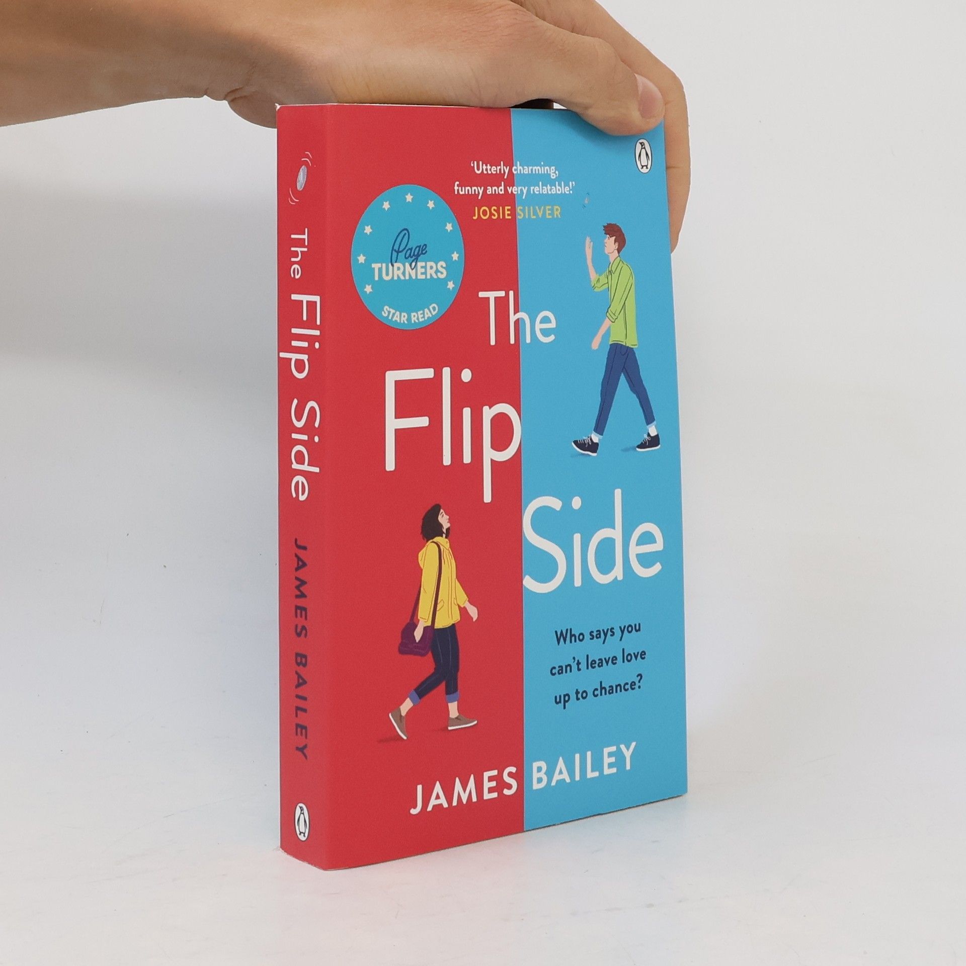 James Bailey The Flip Side