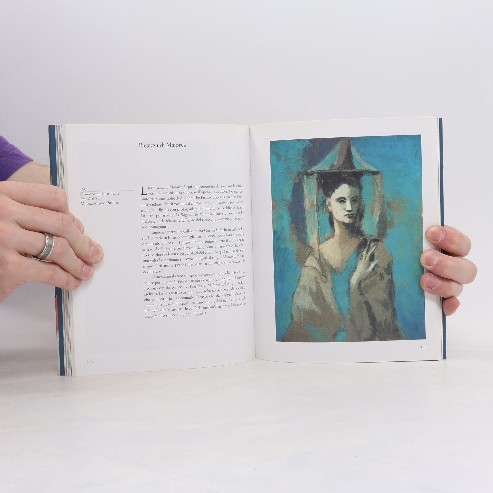 Kolektiv autorů Picasso