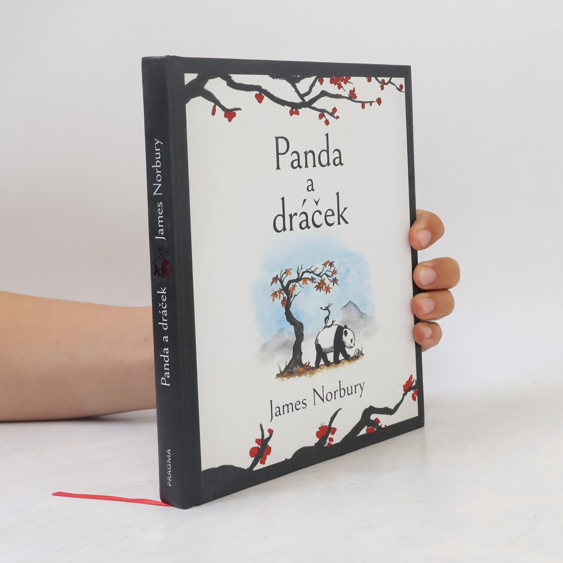 James Norbury Panda a dráček