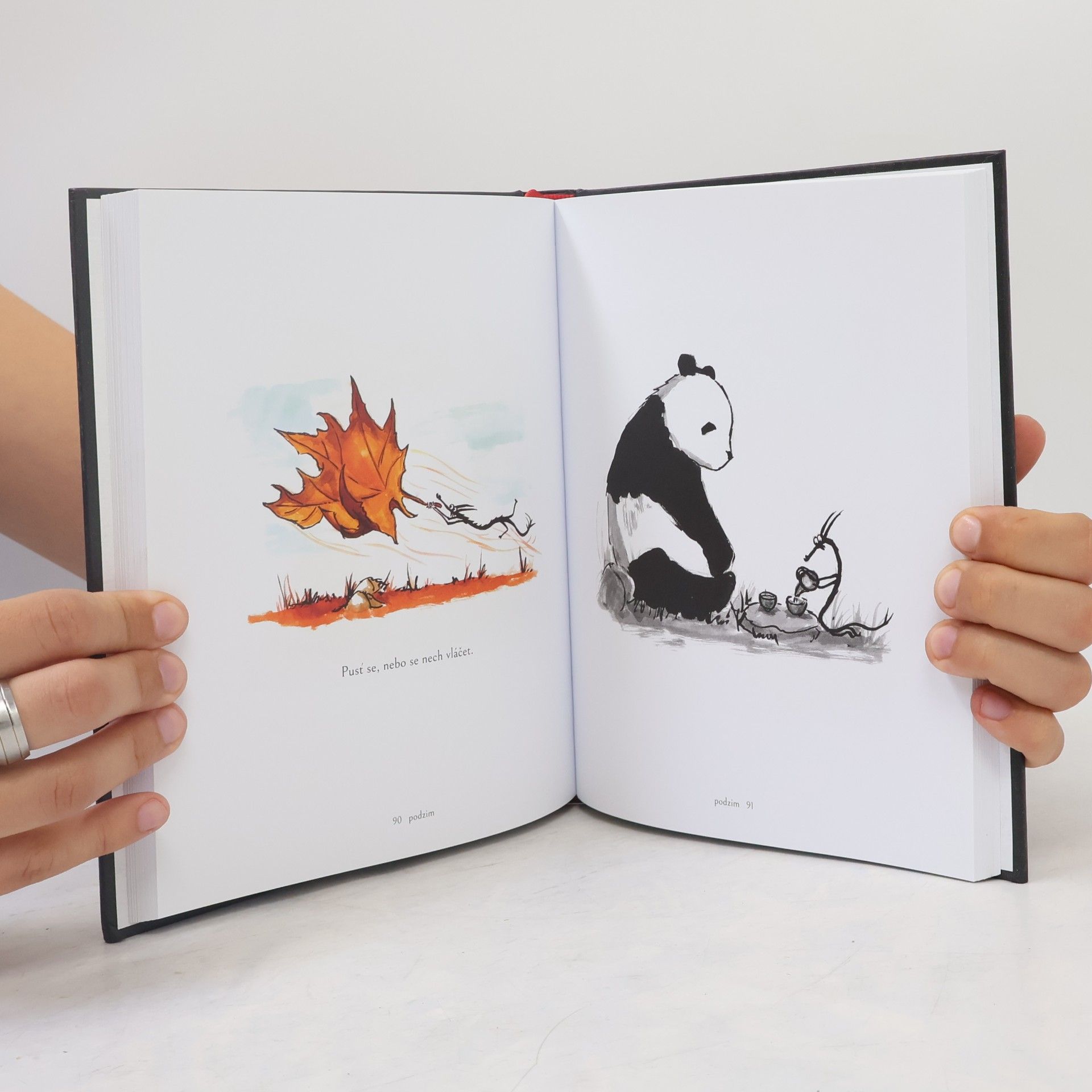 James Norbury Panda a dráček