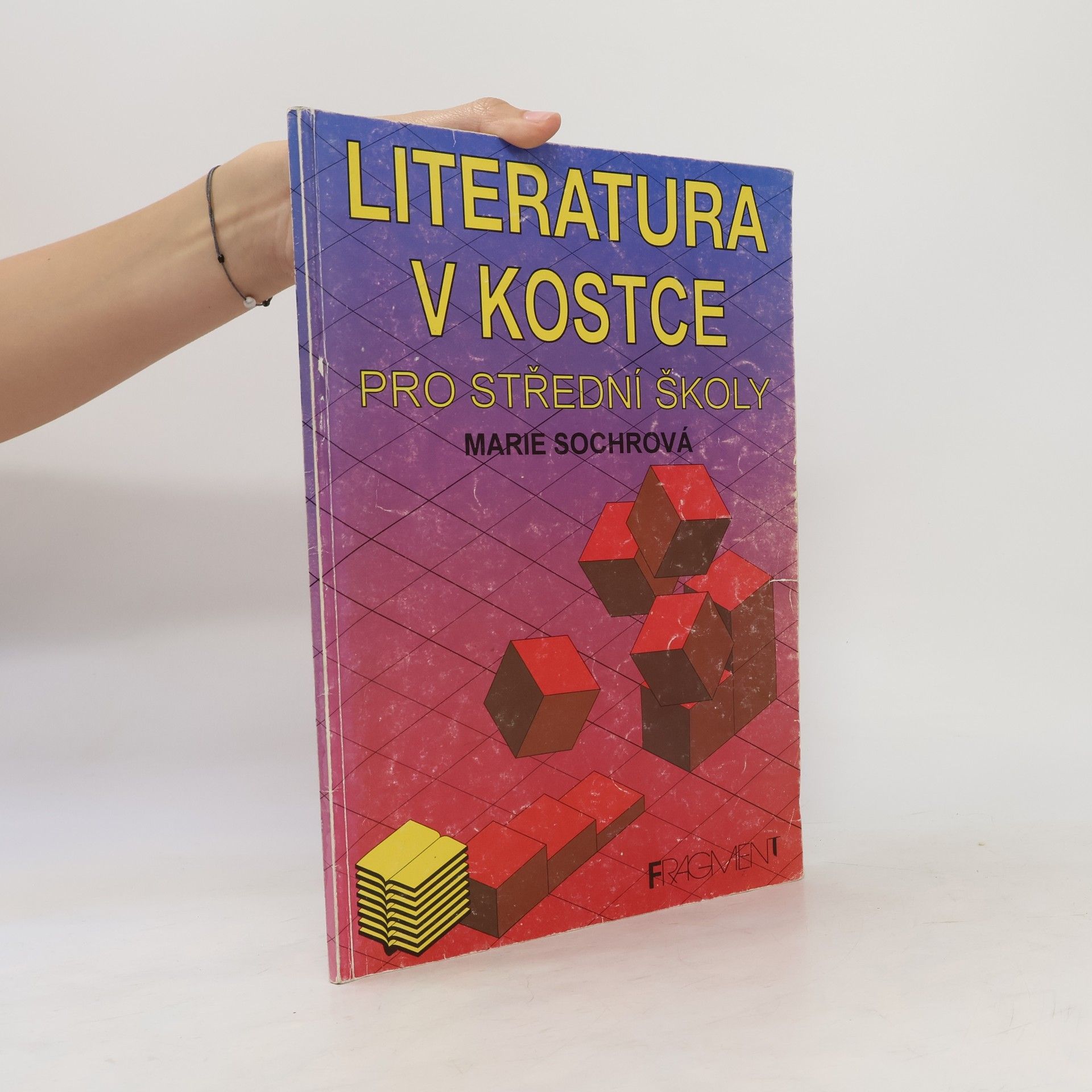 Tomáš Řízek Literatura v kostce