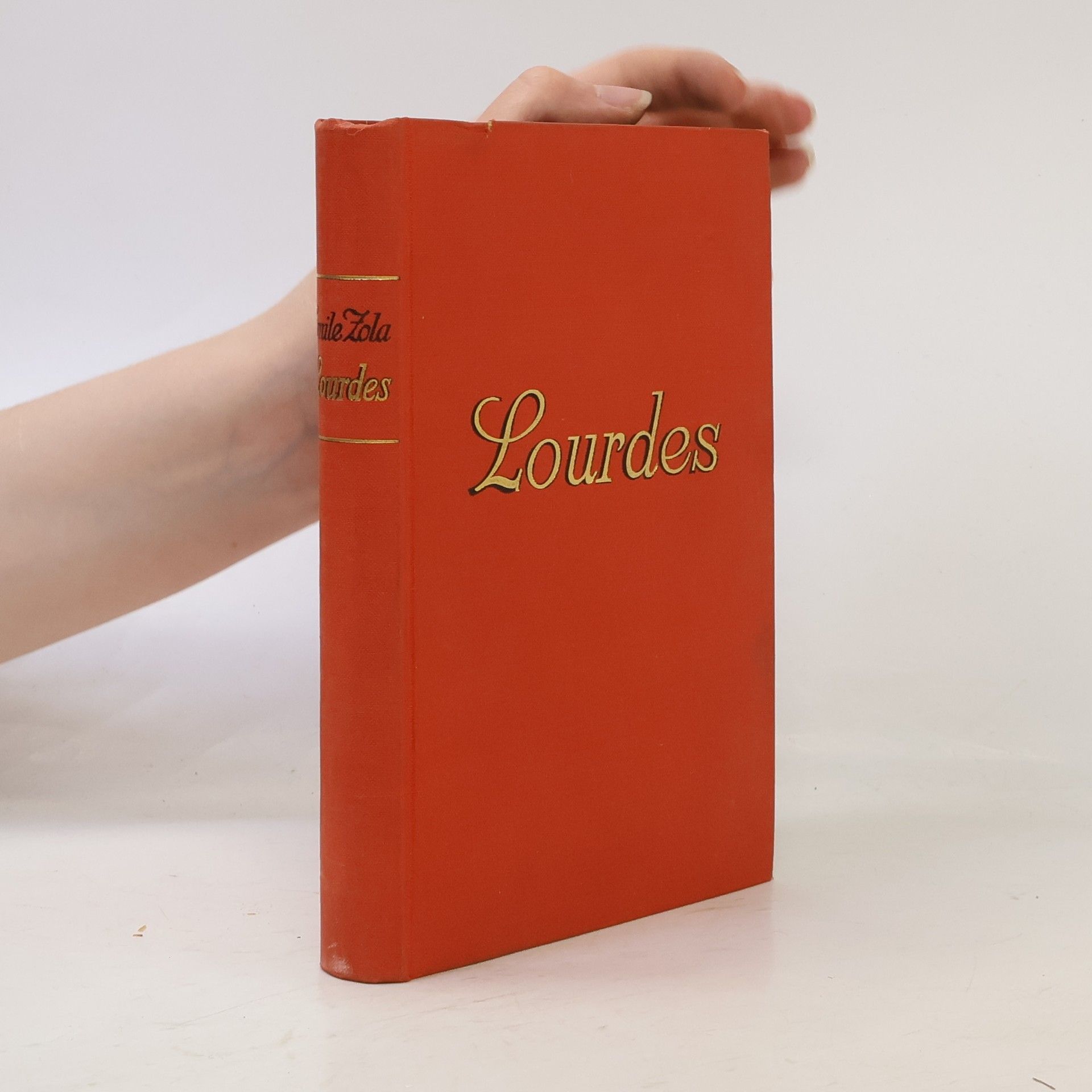 Émile Zola Lourdes