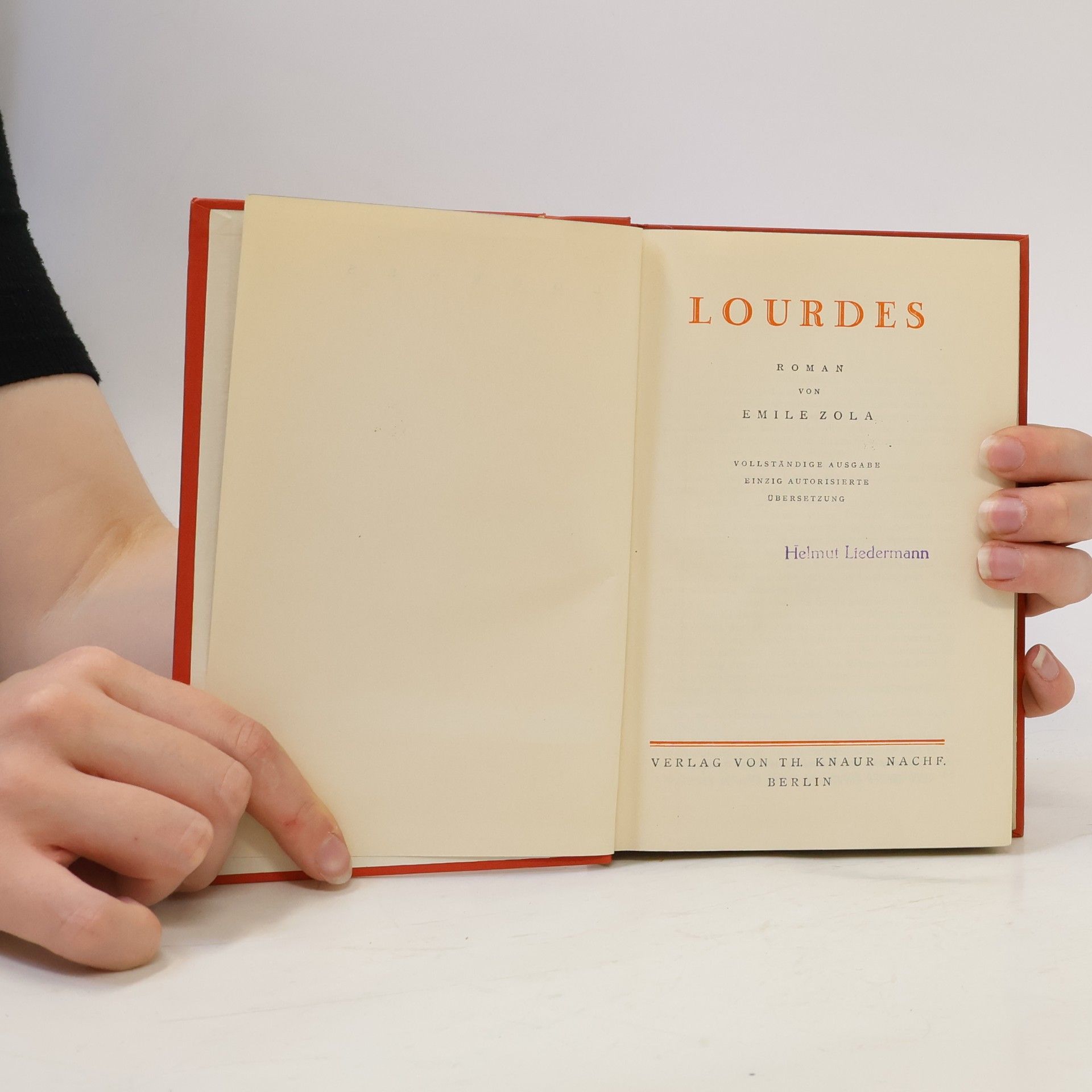 Émile Zola Lourdes
