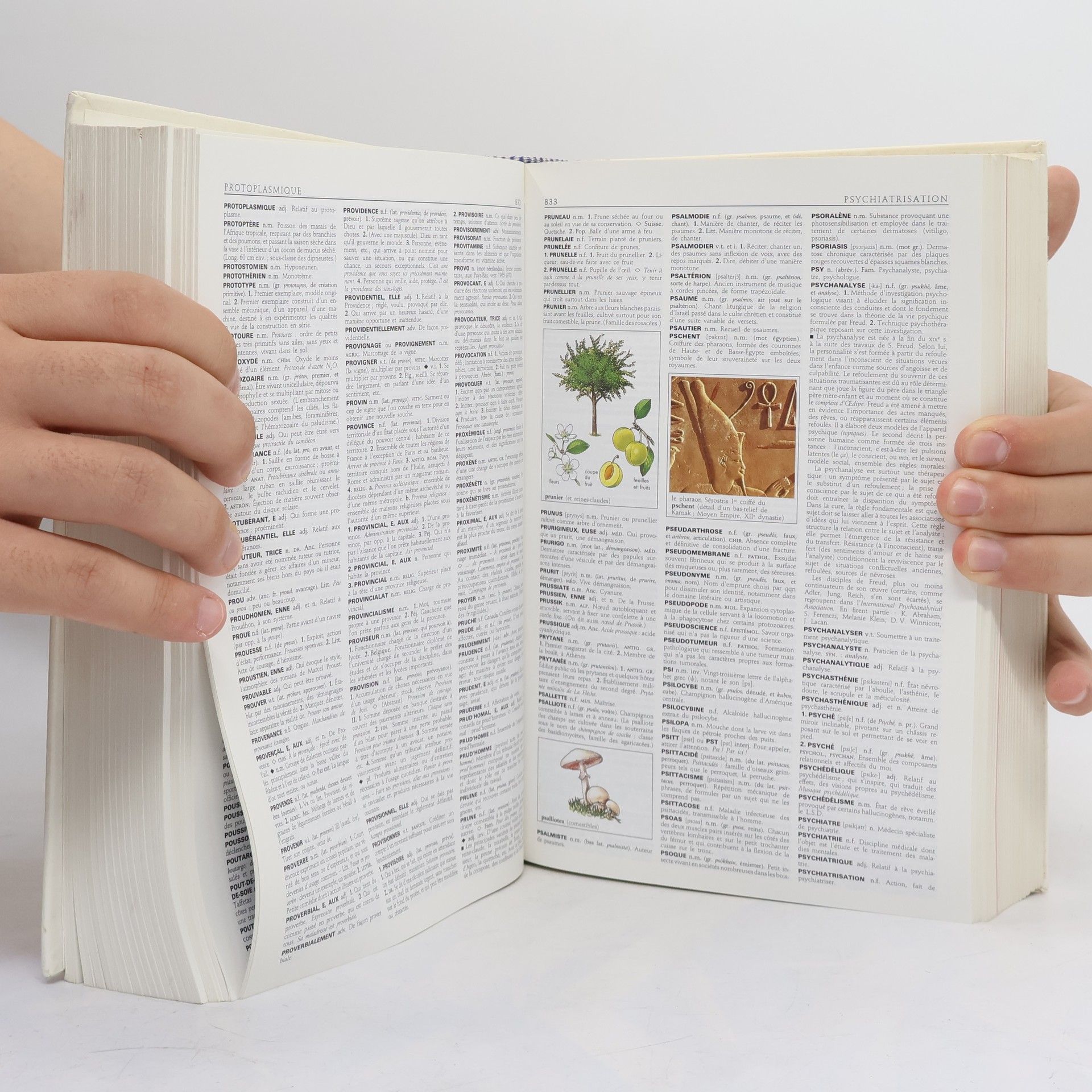Autorenkollektiv Le petit Larousse illustré 1995