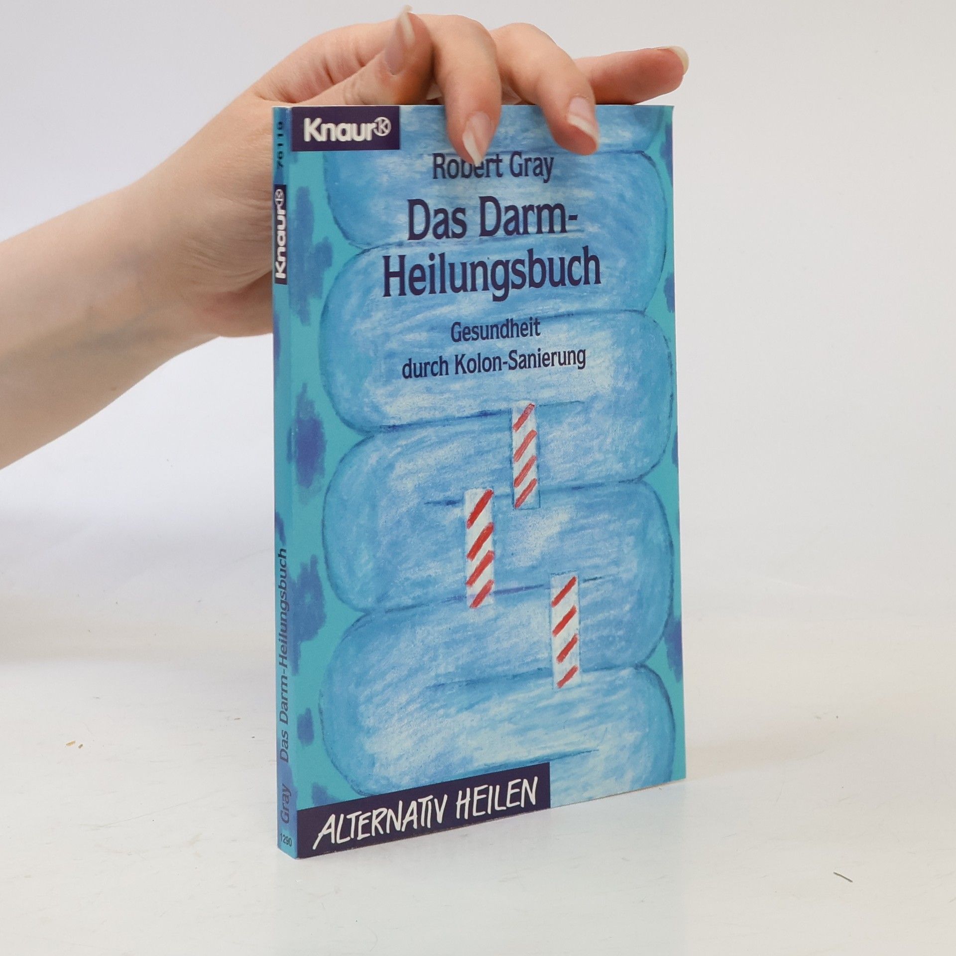 Das Darm-Heilungsbuch