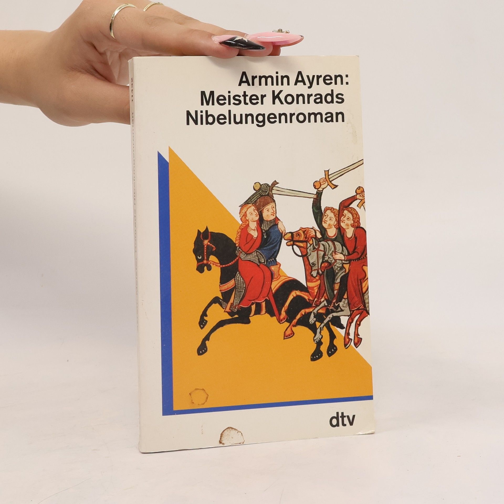 Armin Ayren Meister Konrads Nibelungenroman.