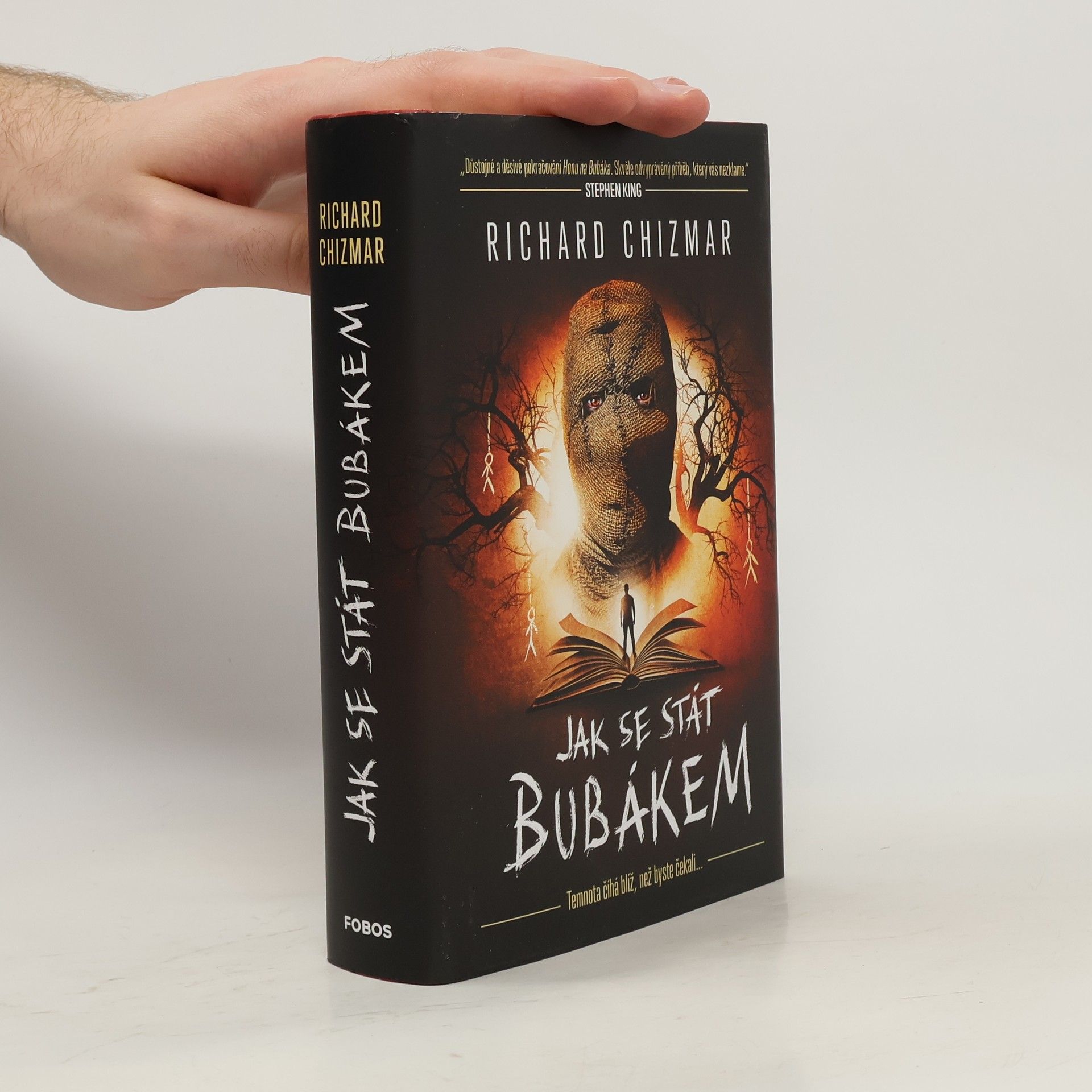 Jak se stát Bubákem