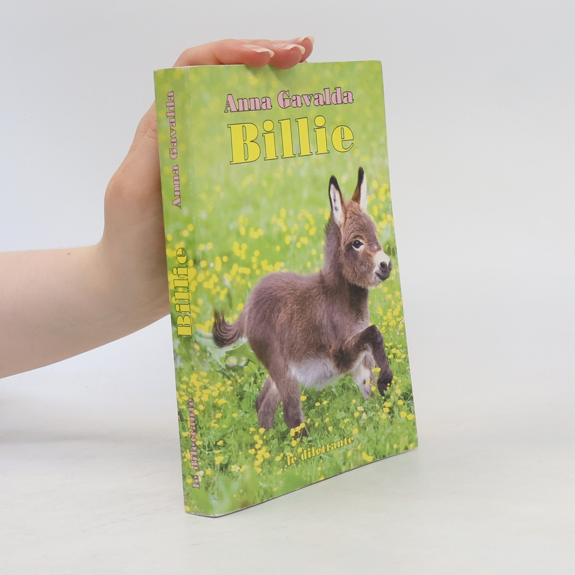 Anna Gavalda Billie. Nur wer fällt, lernt fliegen, französische Ausgabe