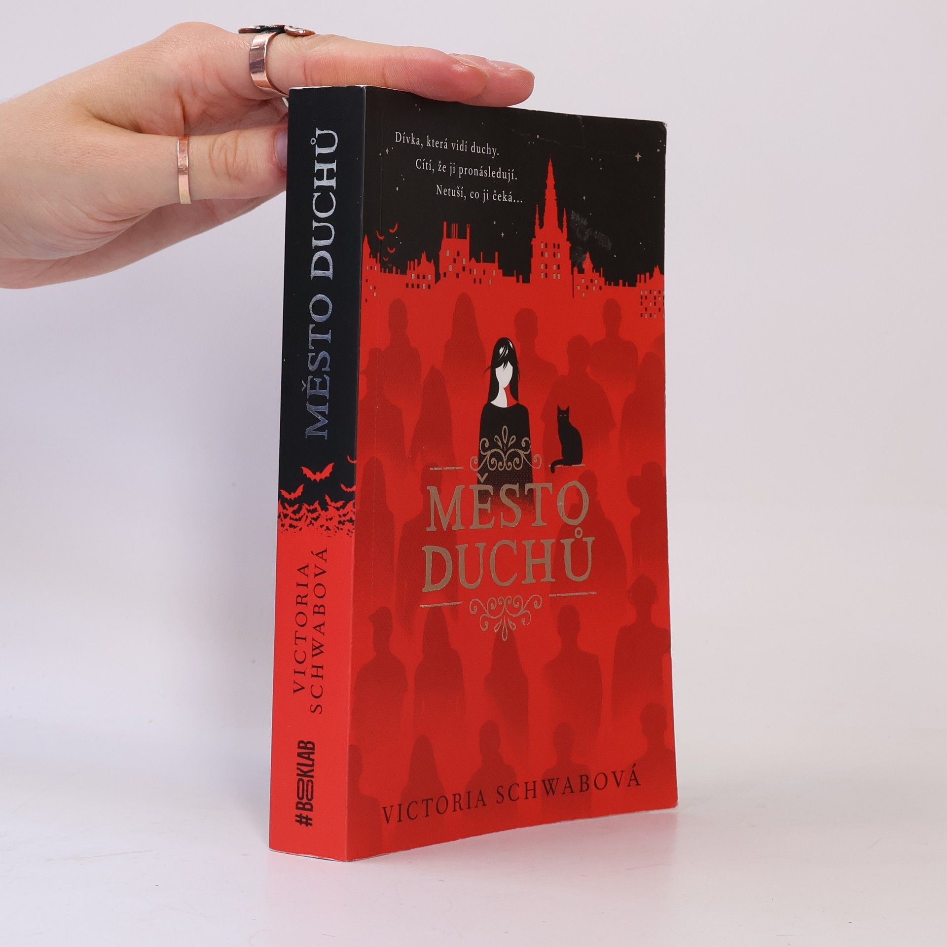 V. E. Schwab Město duchů