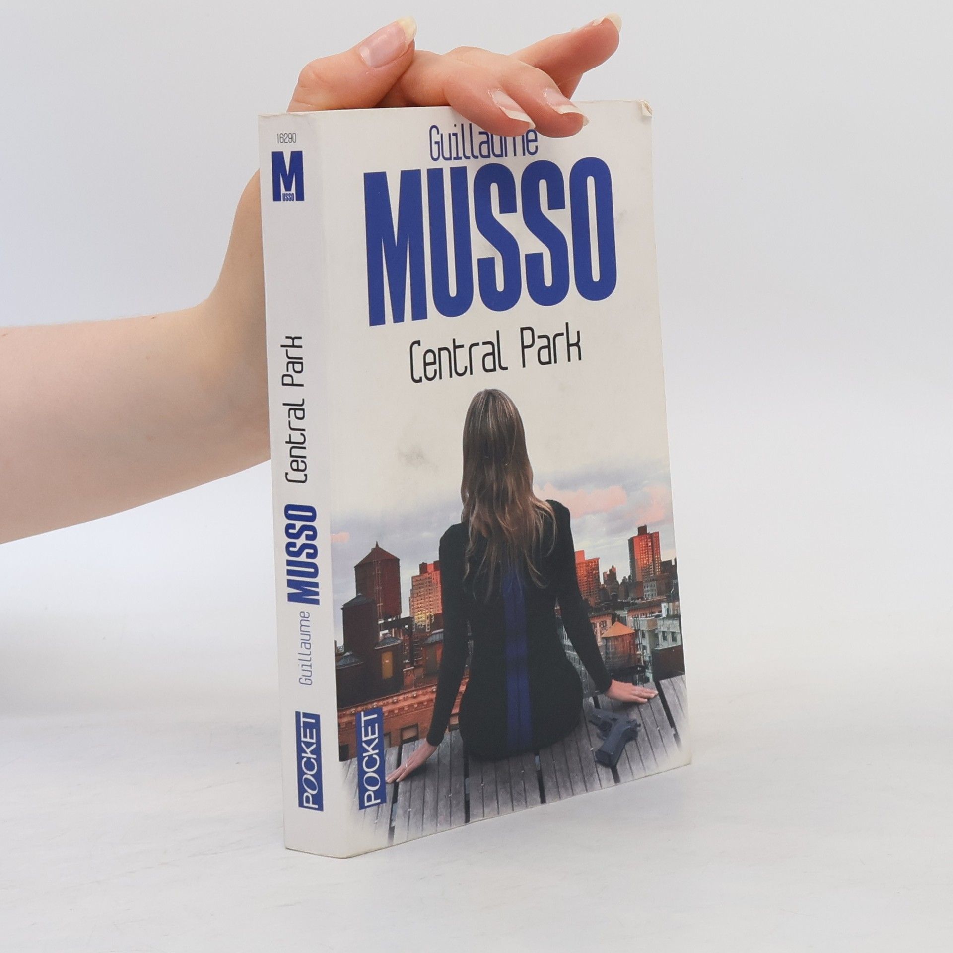 Guillaume Musso Central Park