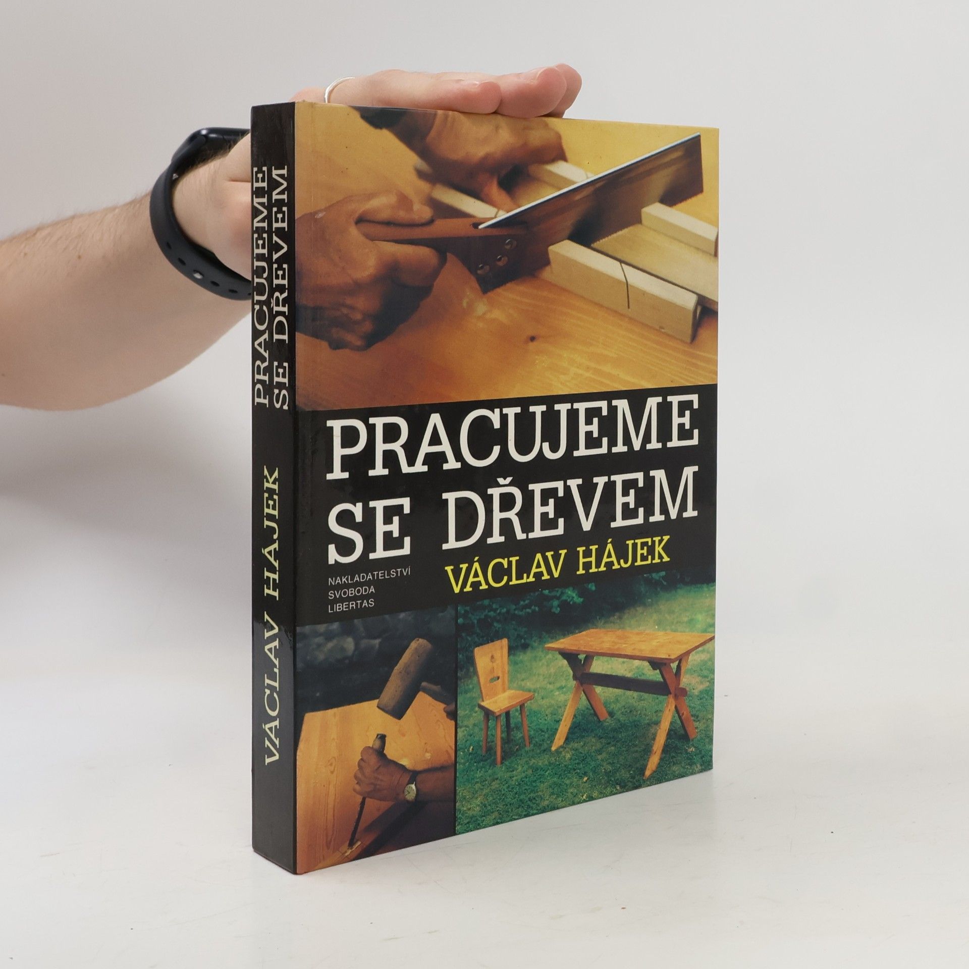 Václav Hájek Pracujeme se dřevem