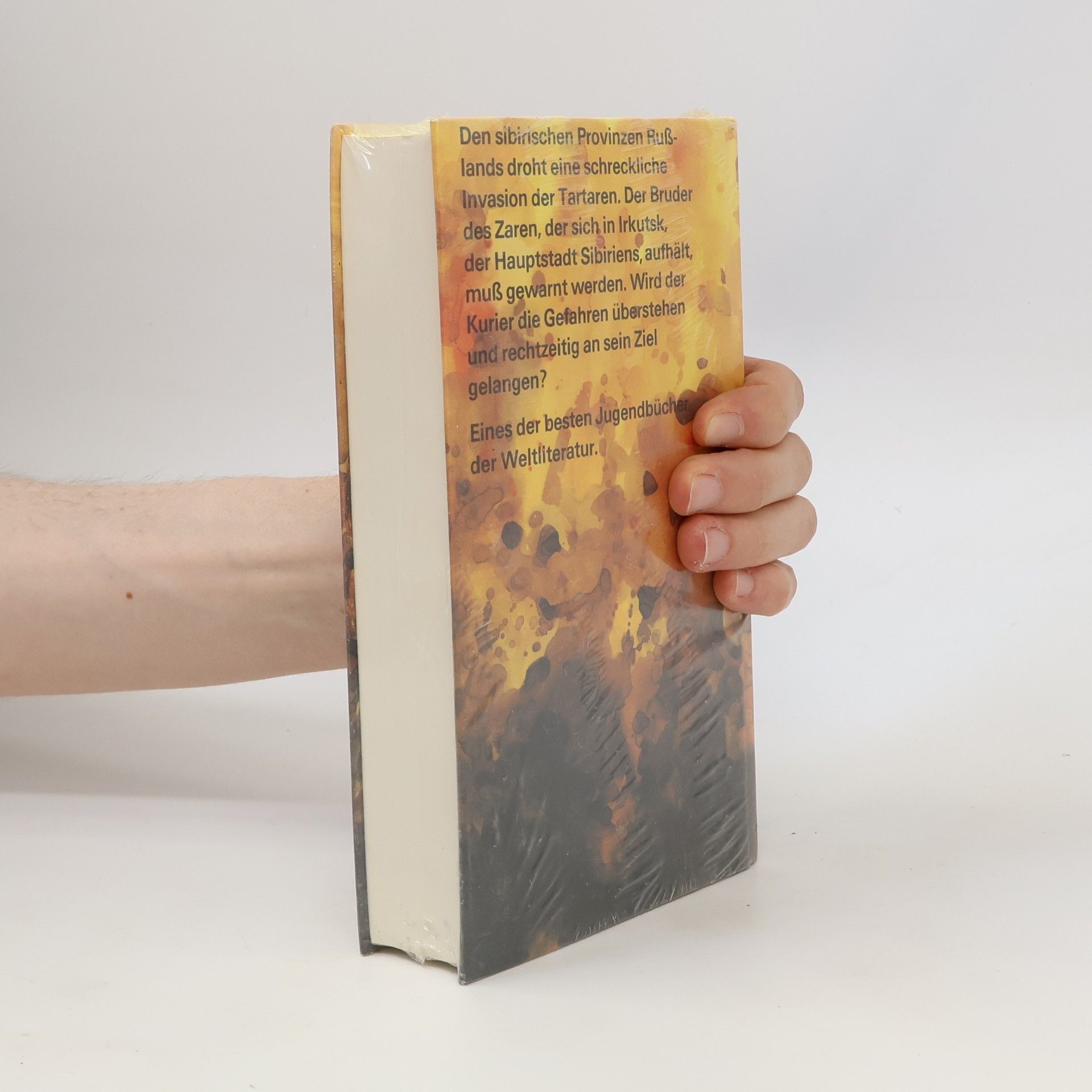 Jules Verne Der Kurier des Zaren