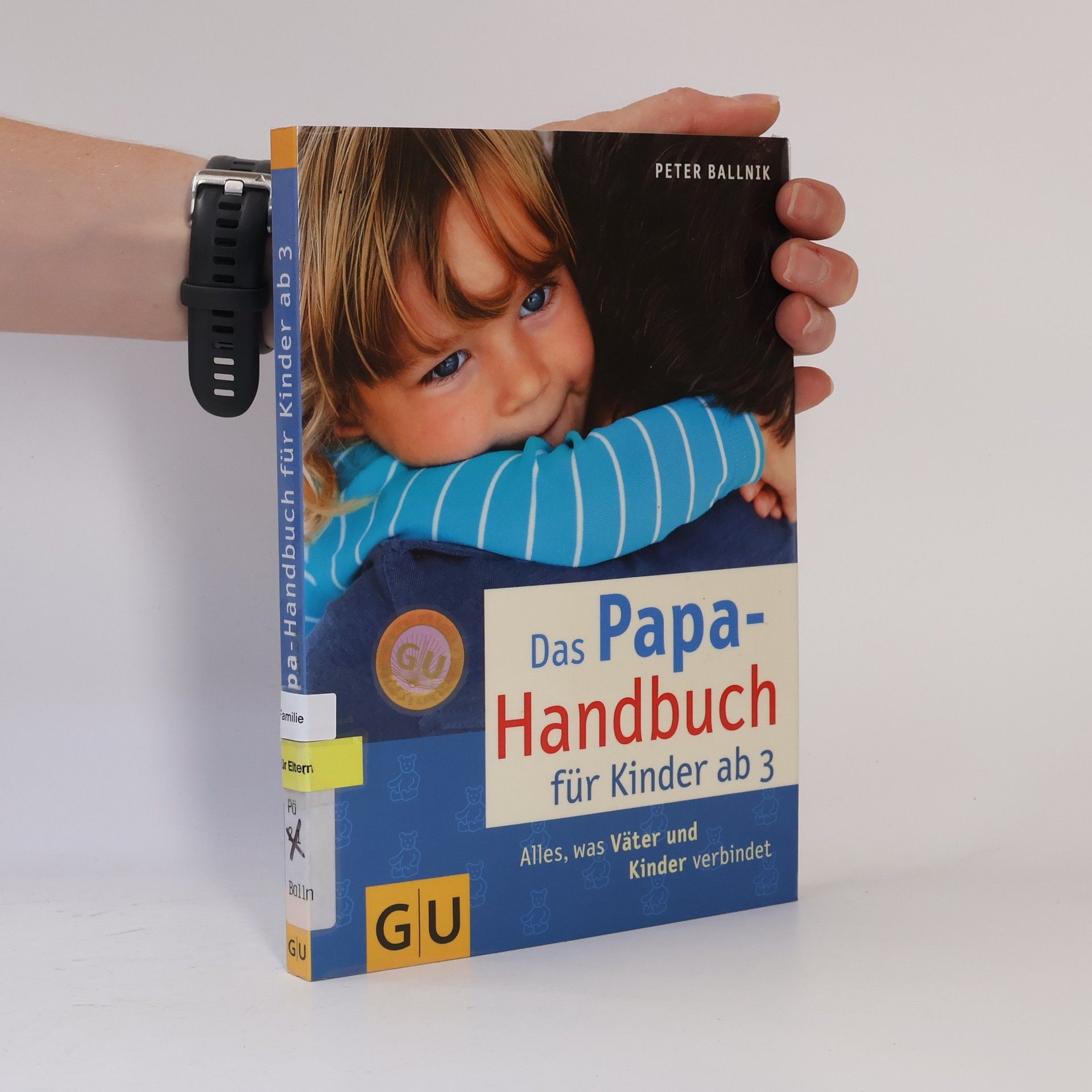 Peter Ballnik Das Papa-Handbuch