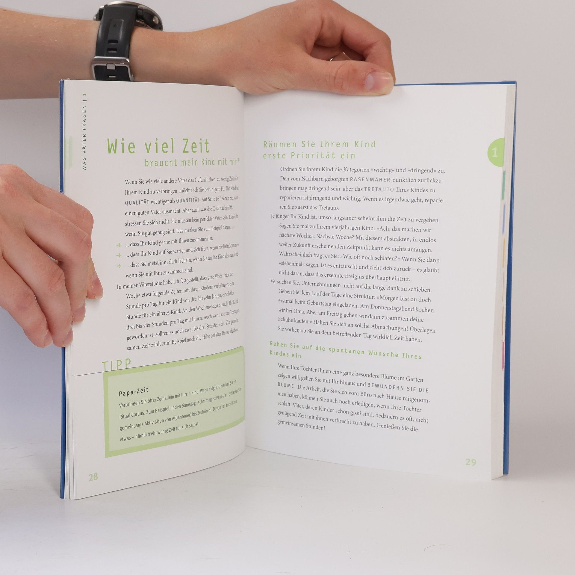 Peter Ballnik Das Papa-Handbuch