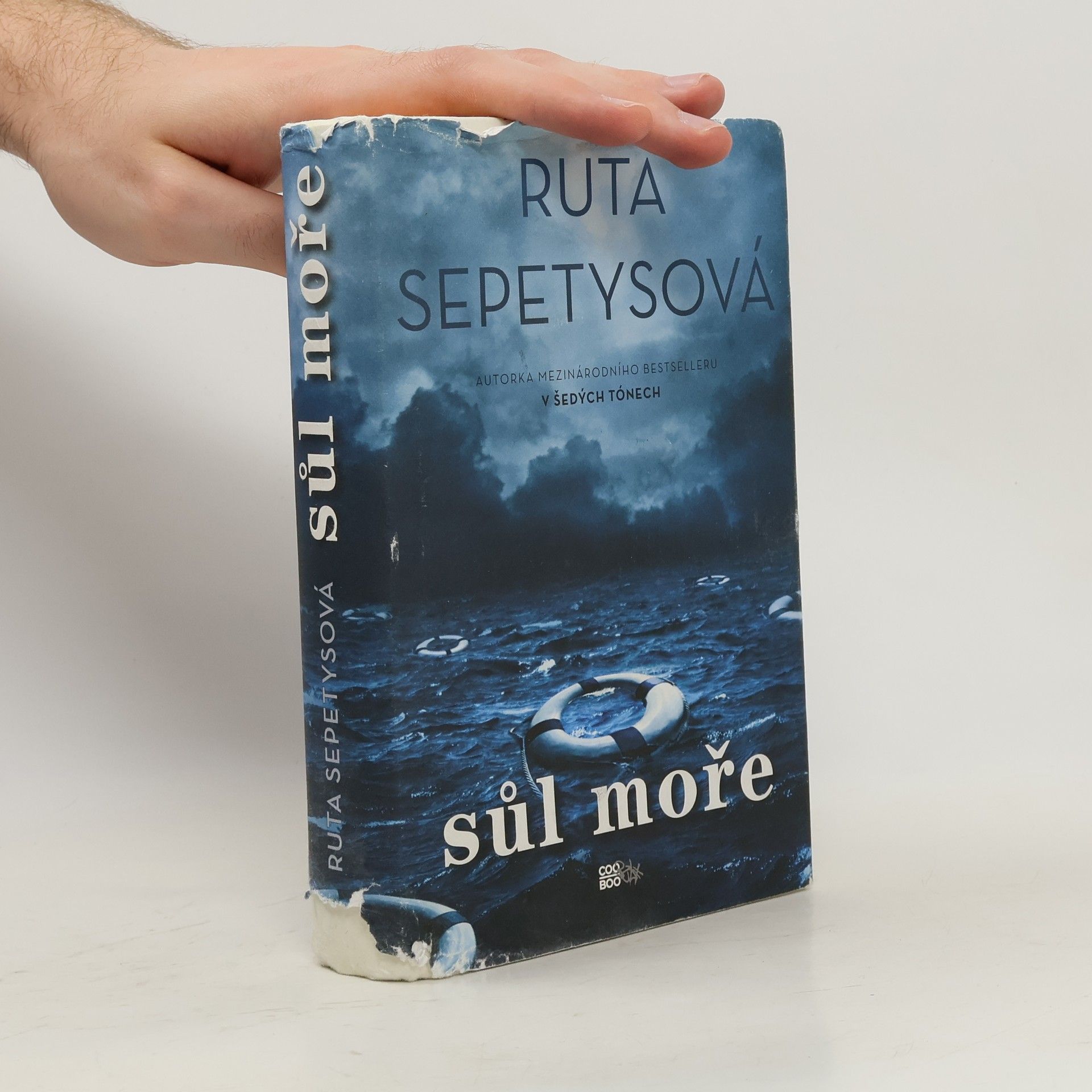 Ruta Sepetys Sůl moře