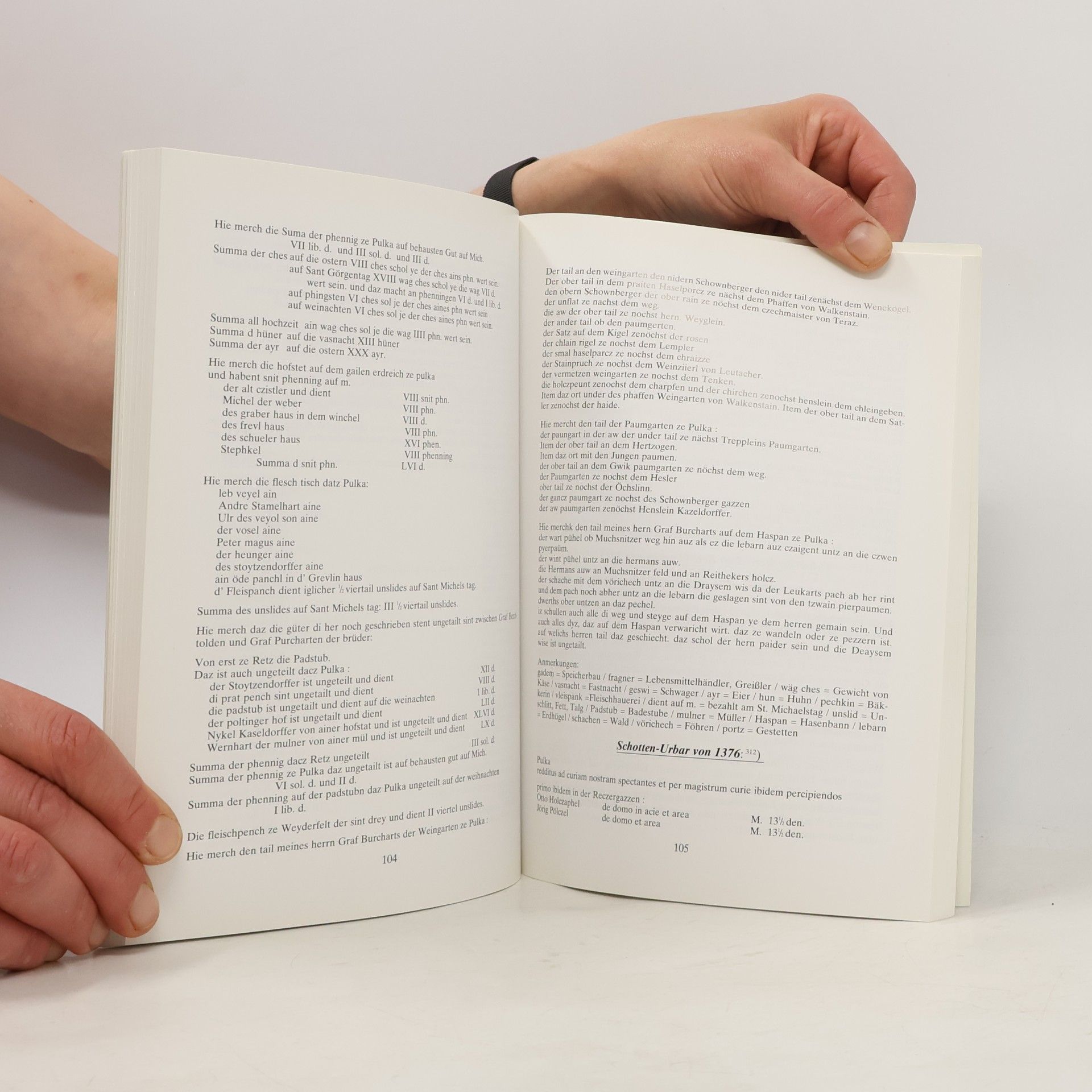 Herbert u. Herta Puschnik Pulkau. Stadtgeschichte. Kunst. Kultur