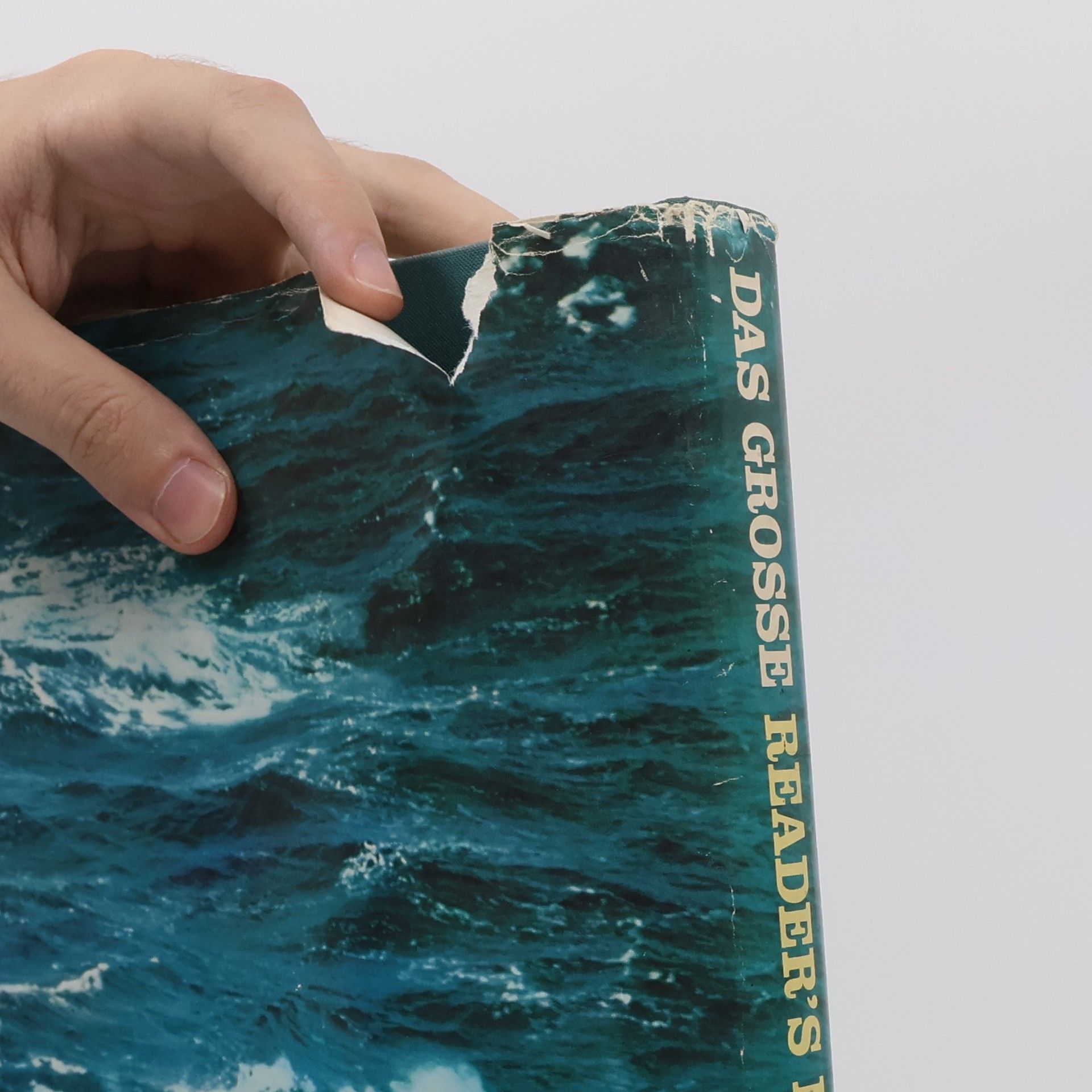 Autores varios Das grosse Reader's Digest Buch der Ozeane