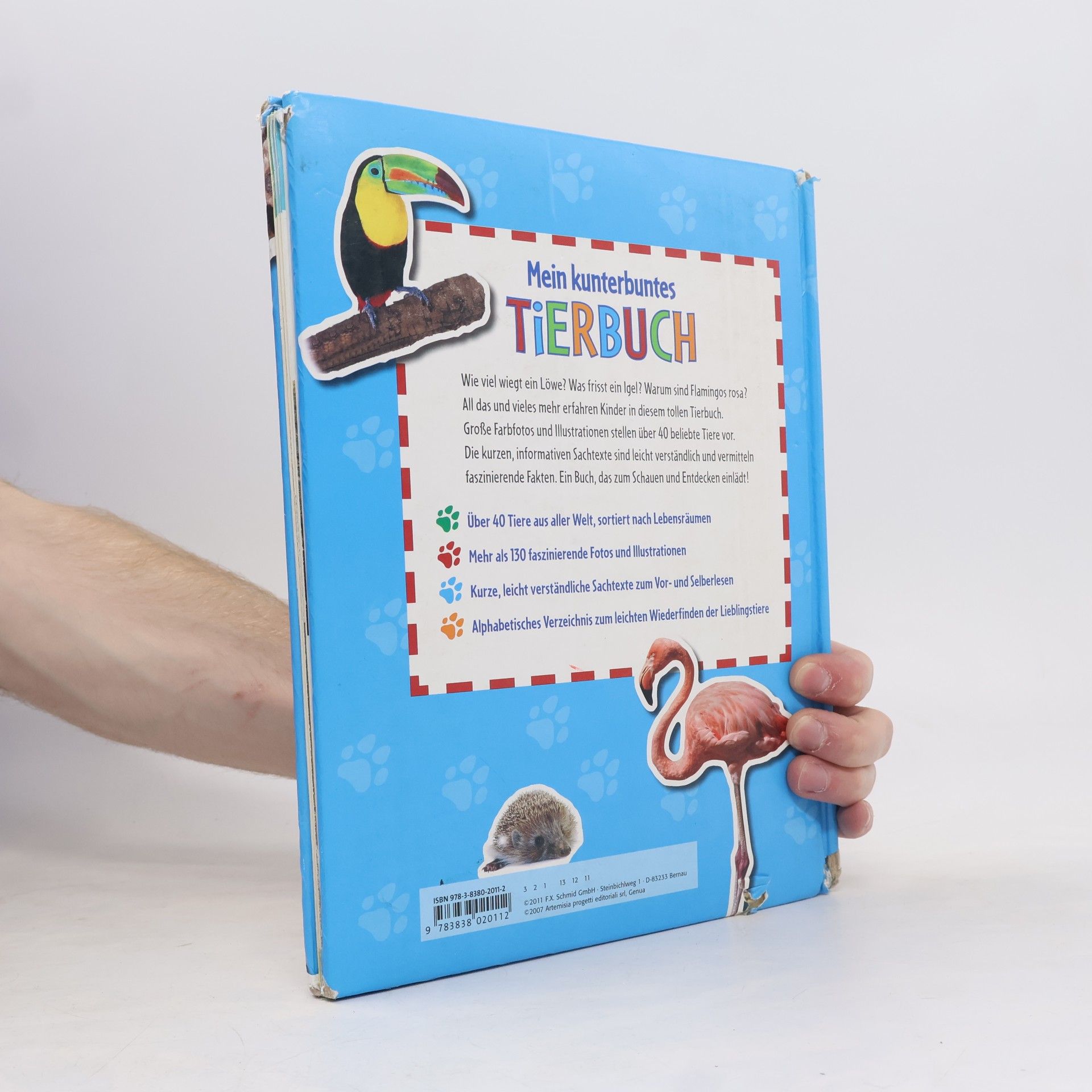 Autorenkollektiv Mein kunterbuntes Tierbuch