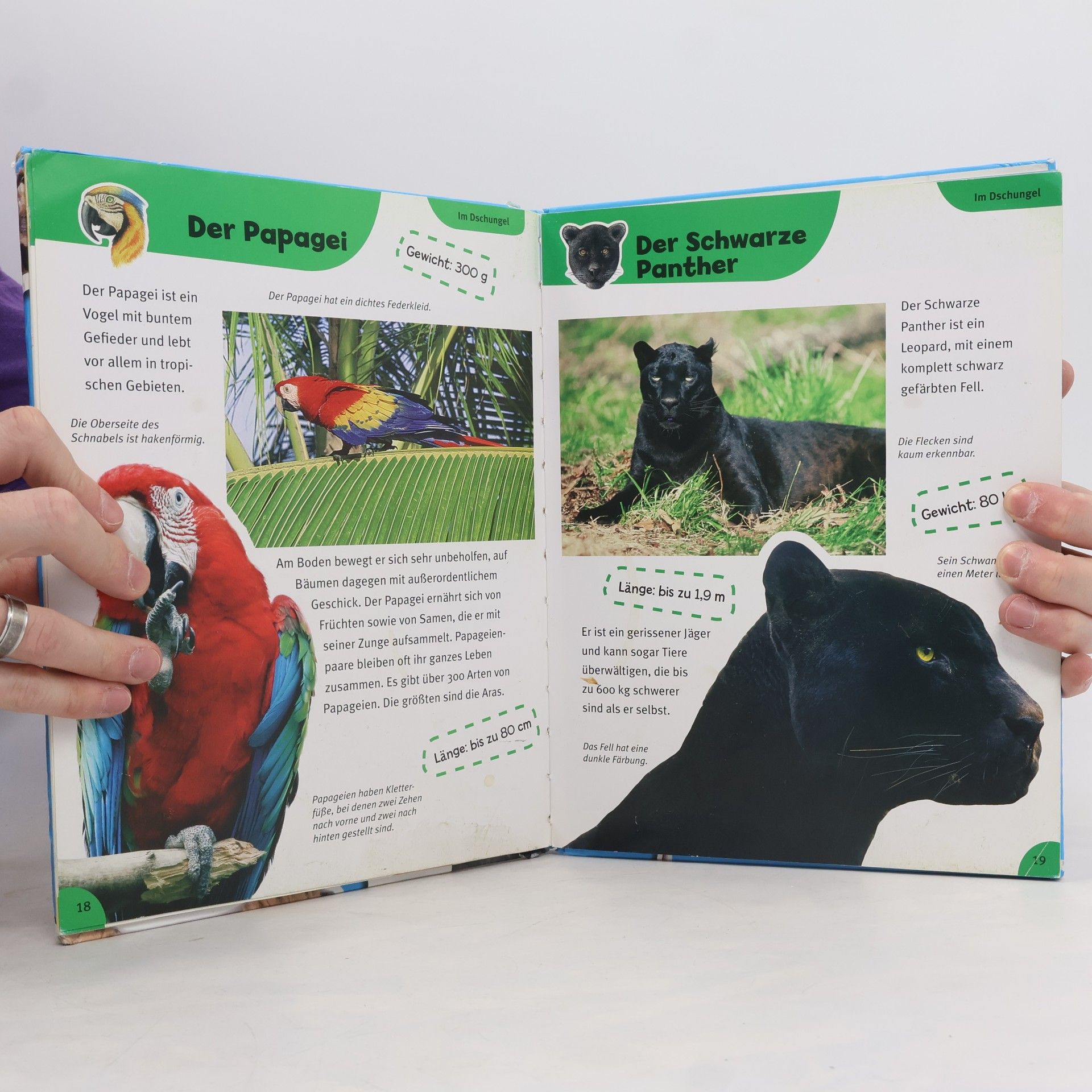 Autorenkollektiv Mein kunterbuntes Tierbuch