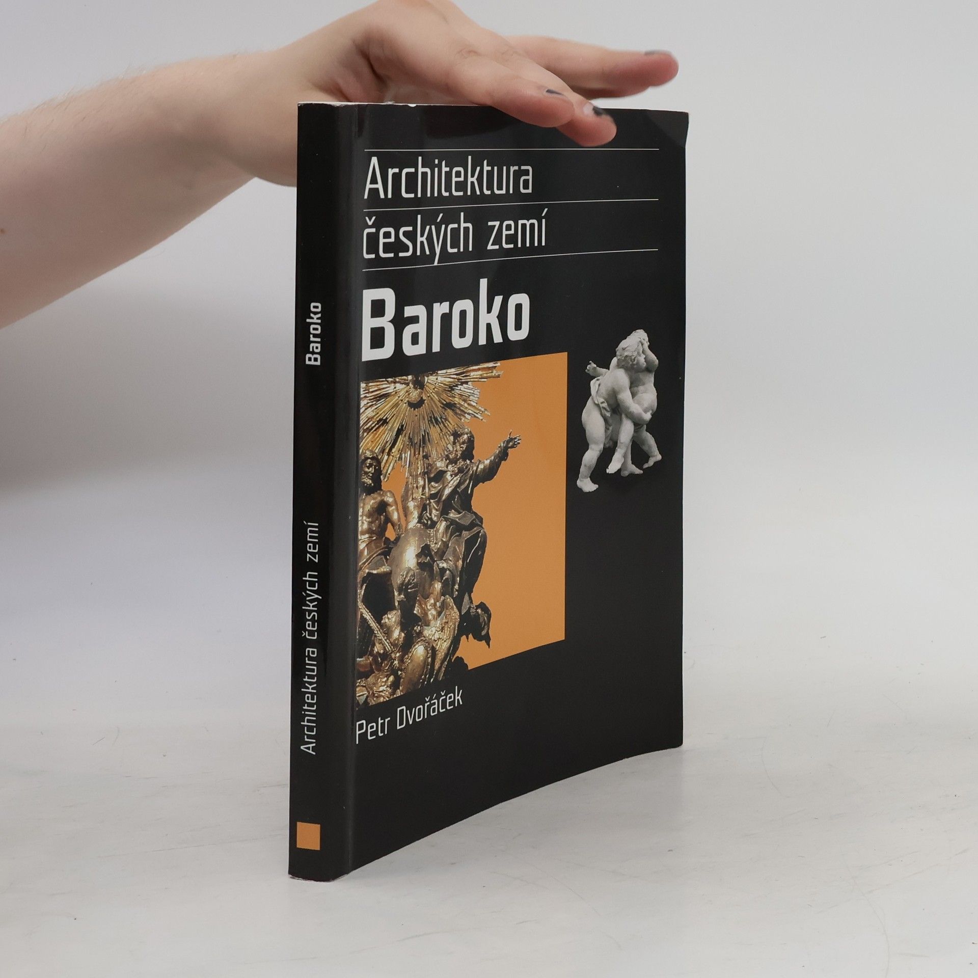 Petr Dvořáček Baroko. Architektura českých zemí