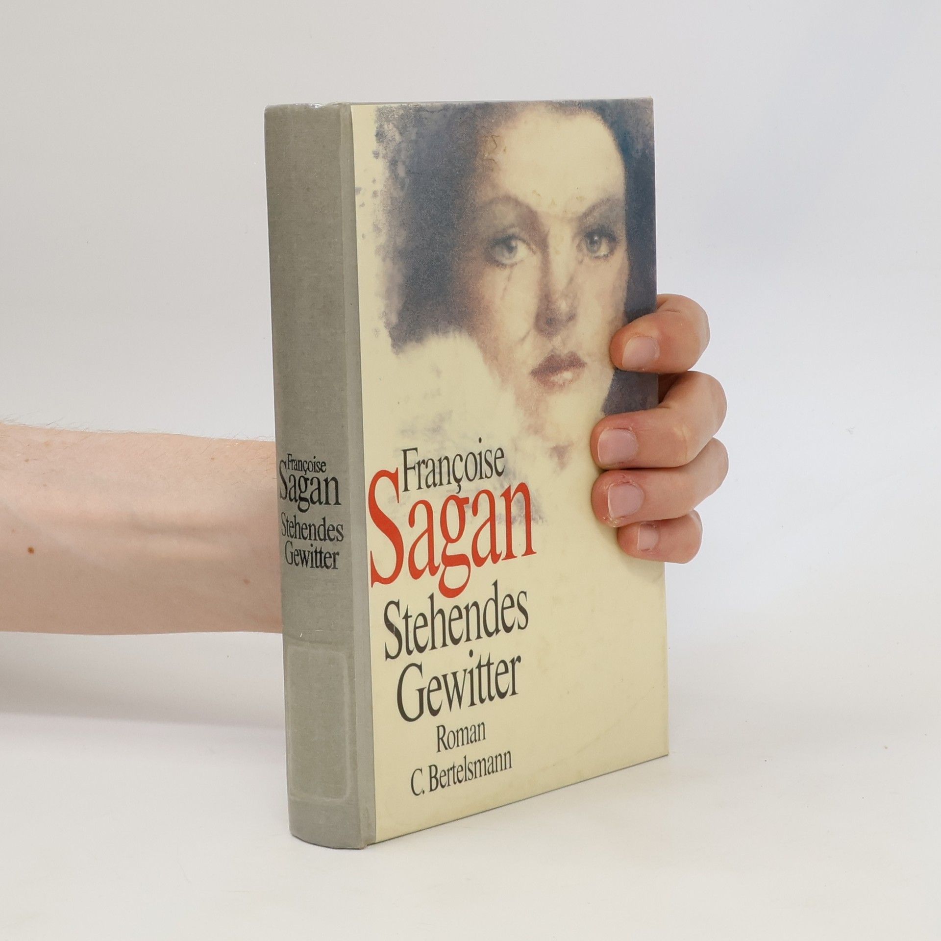 Françoise Sagan Stehendes Gewitter