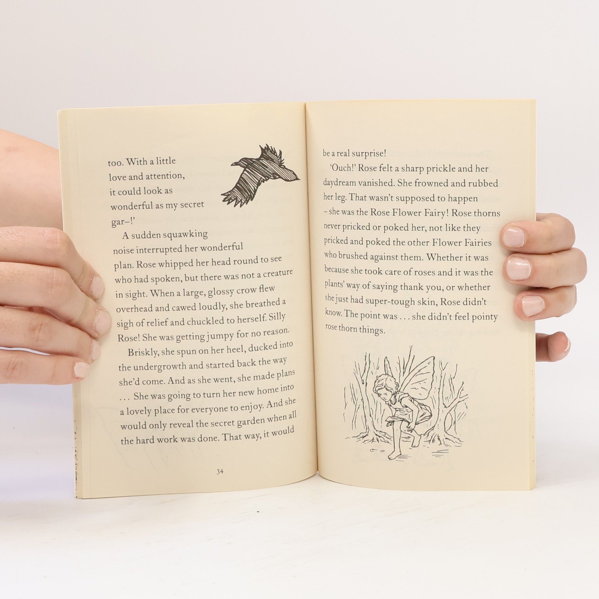 Kay Woodward Flower Fairies Secret Stories: Rose's Special Secret