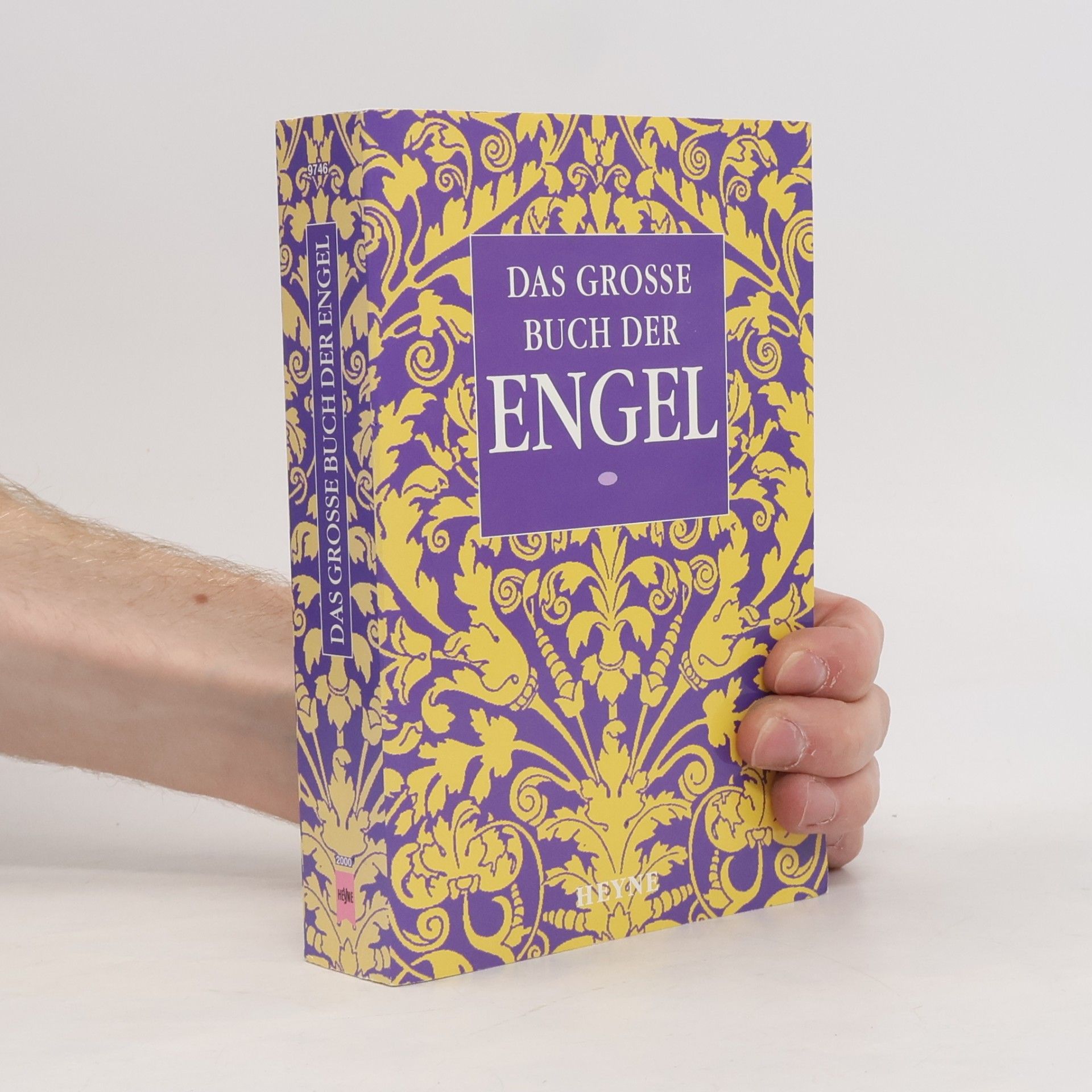 Paola Giovetti Das große Buch der Engel. Engel; Schutz-Engel; Wir sind an Deiner Seite