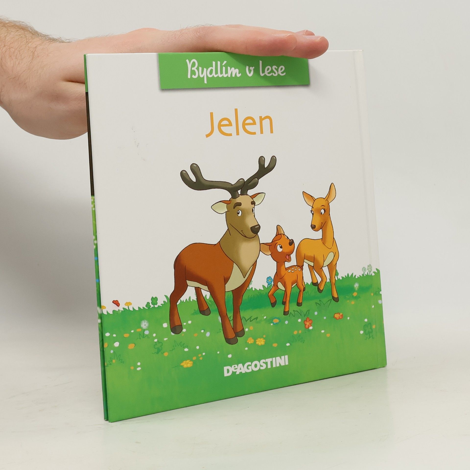 Kolektiv autorů Bydlím v lese. Jelen