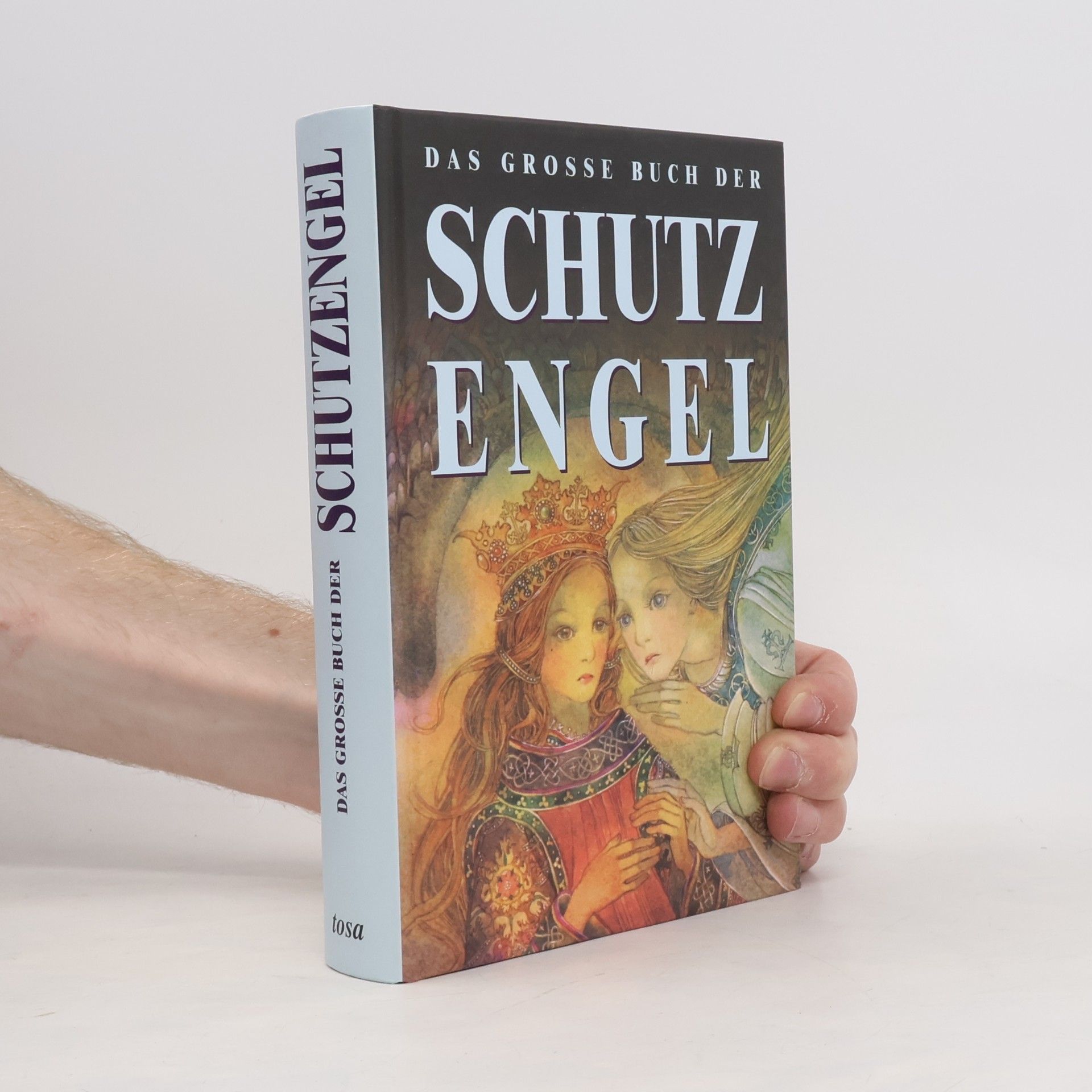 Peter Michel Das große Buch der Schutzengel