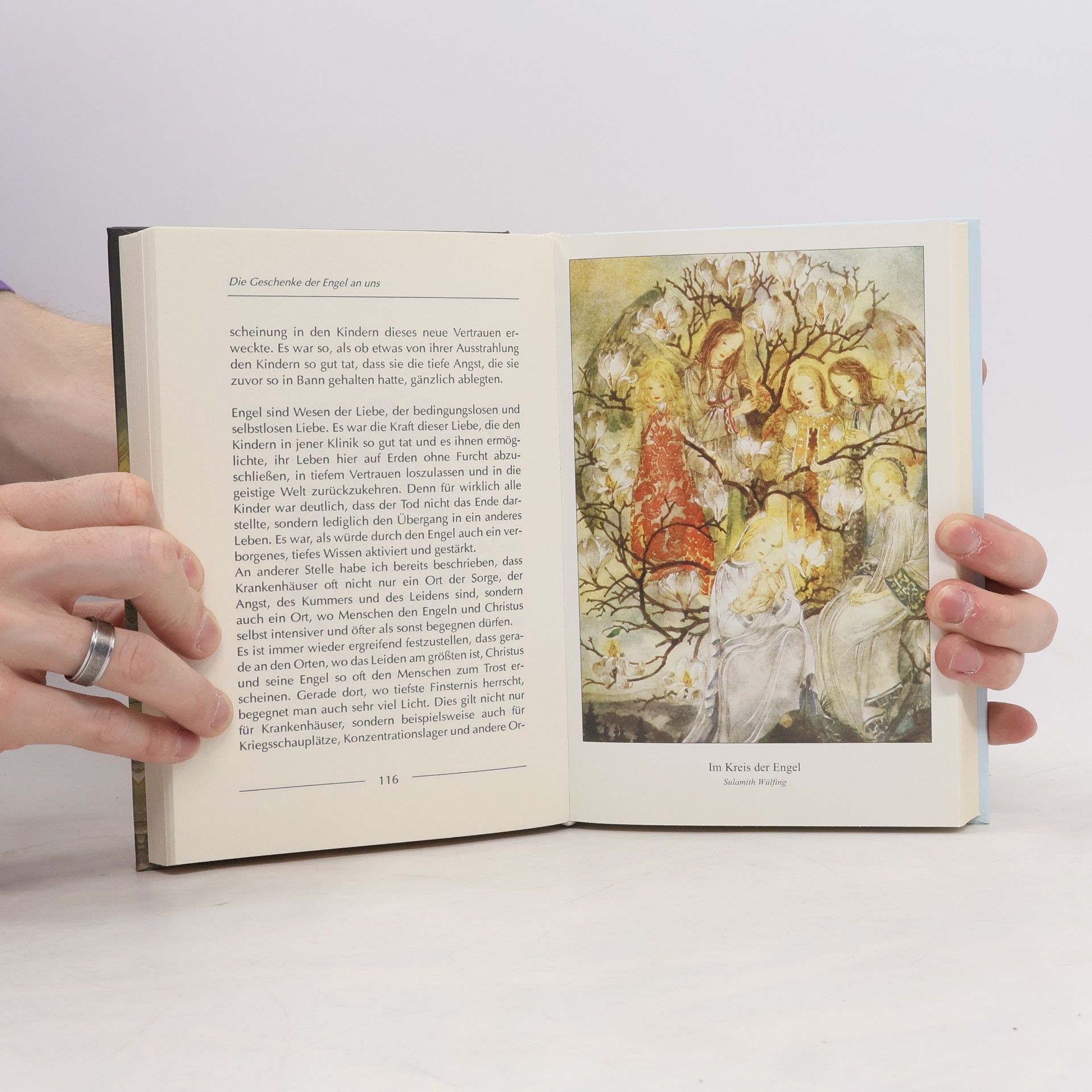 Peter Michel Das große Buch der Schutzengel