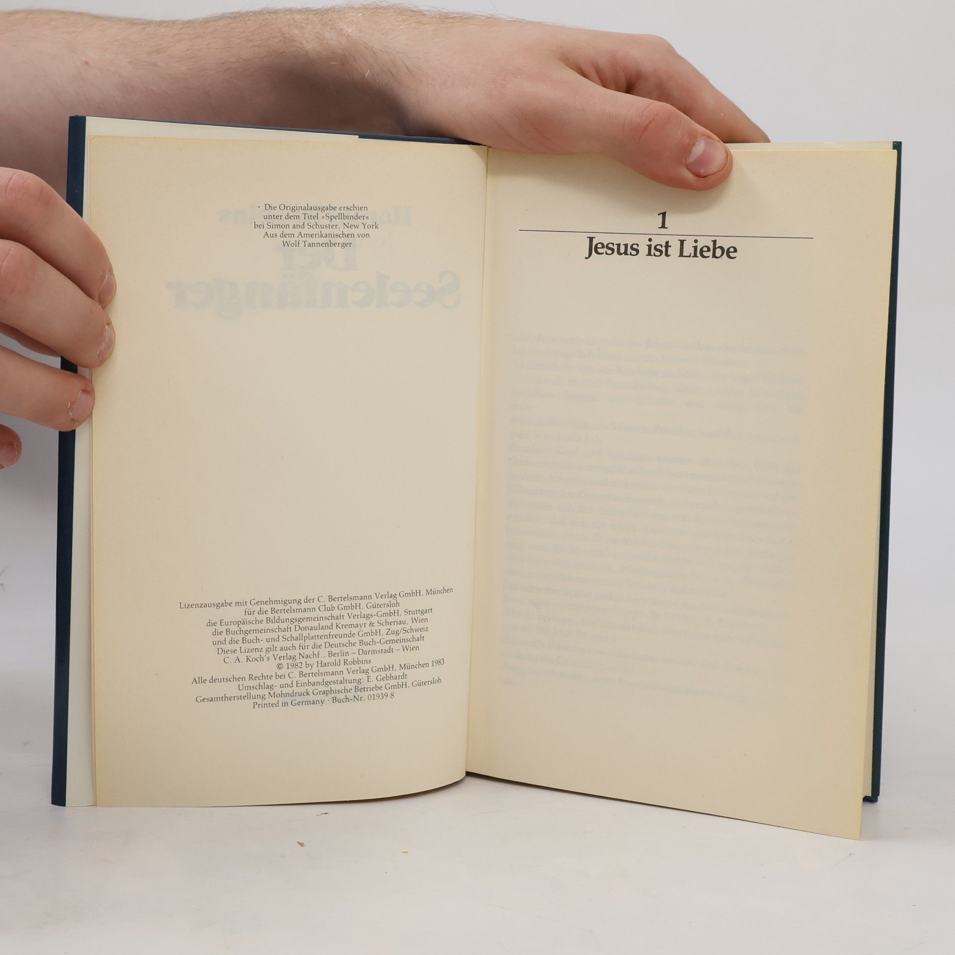 Harold Robbins Der Seelenfänger
