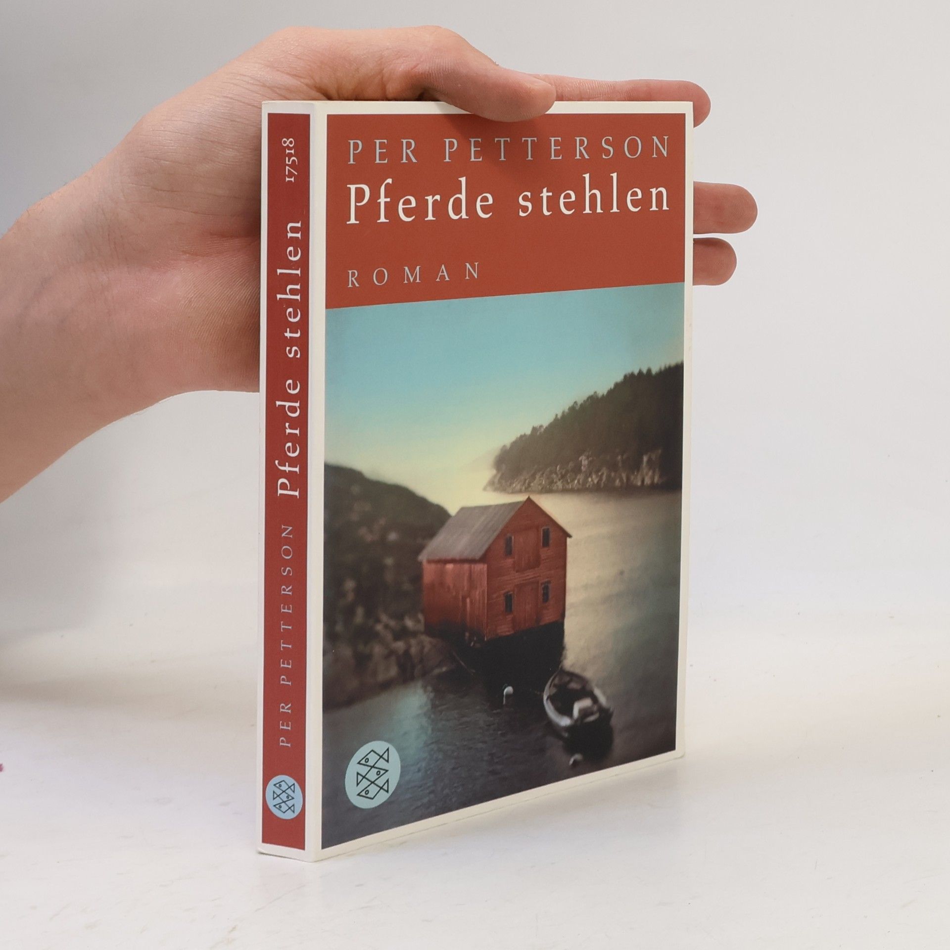 Per Petterson Pferde stehlen