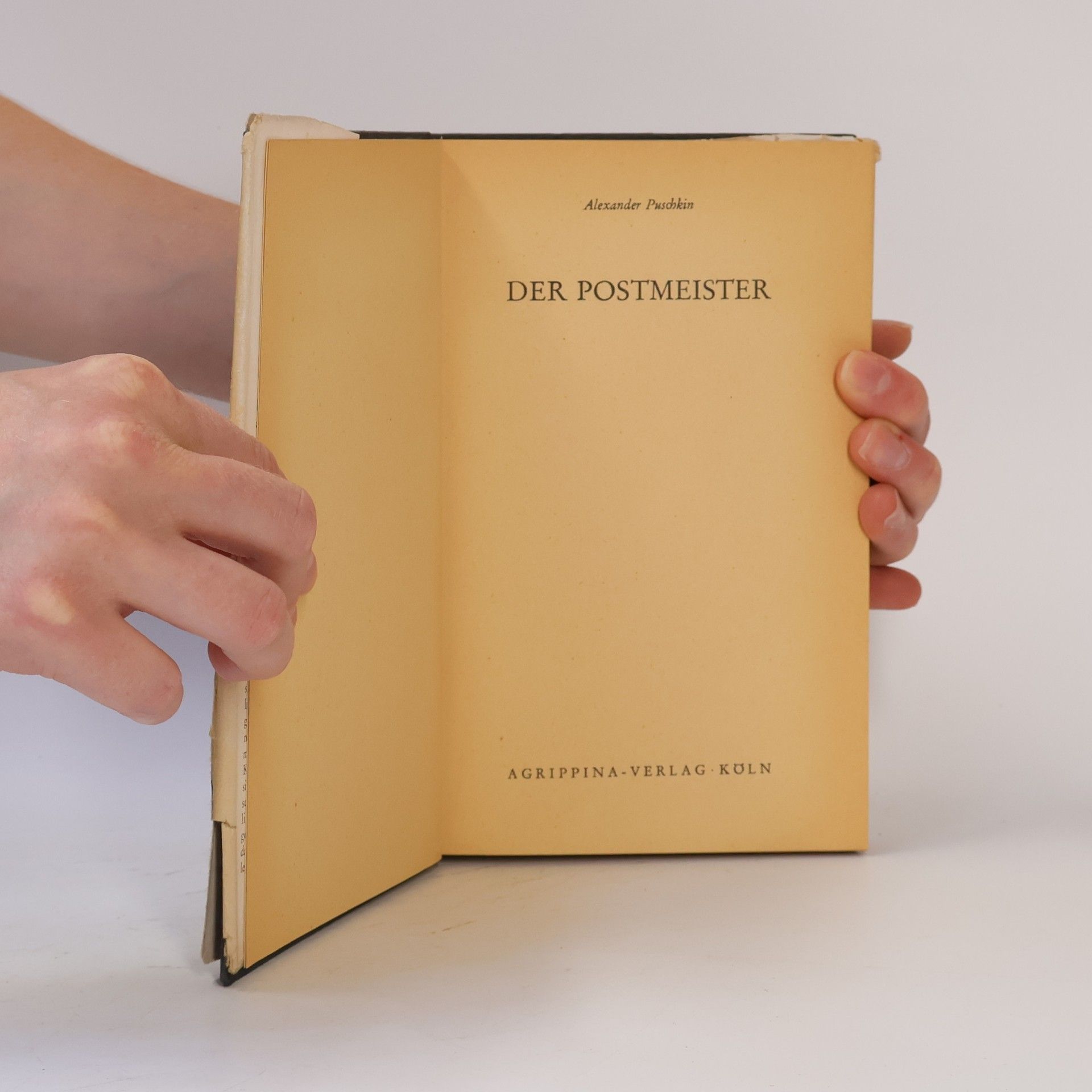 Alexander Pushkin Der Postmeister