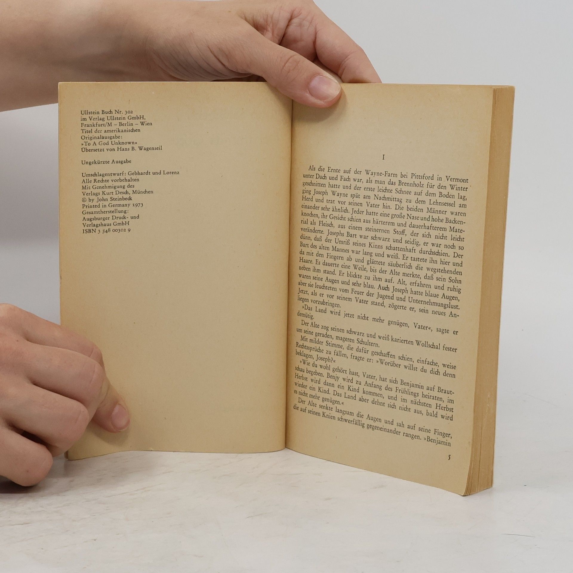 John Steinbeck Der Fremde Gott