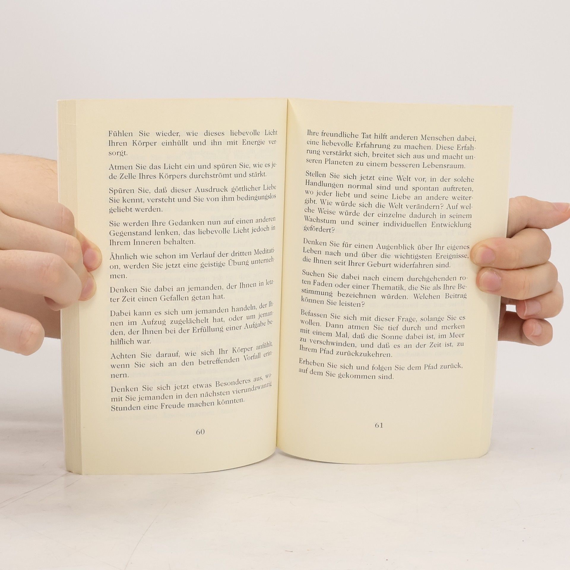 Salle M. Redfield Das Celestine-Meditations-Handbuch