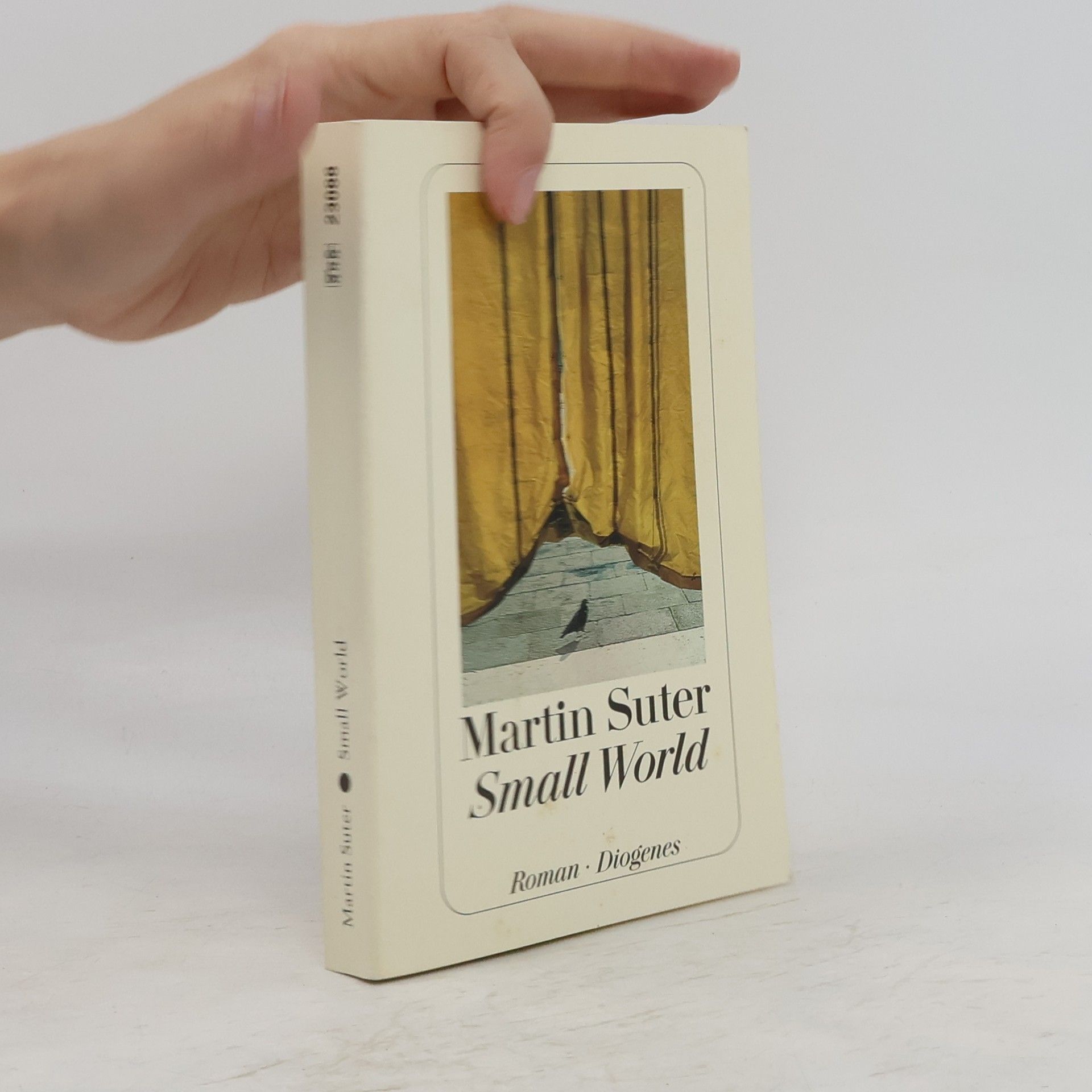Martin Suter Small World
