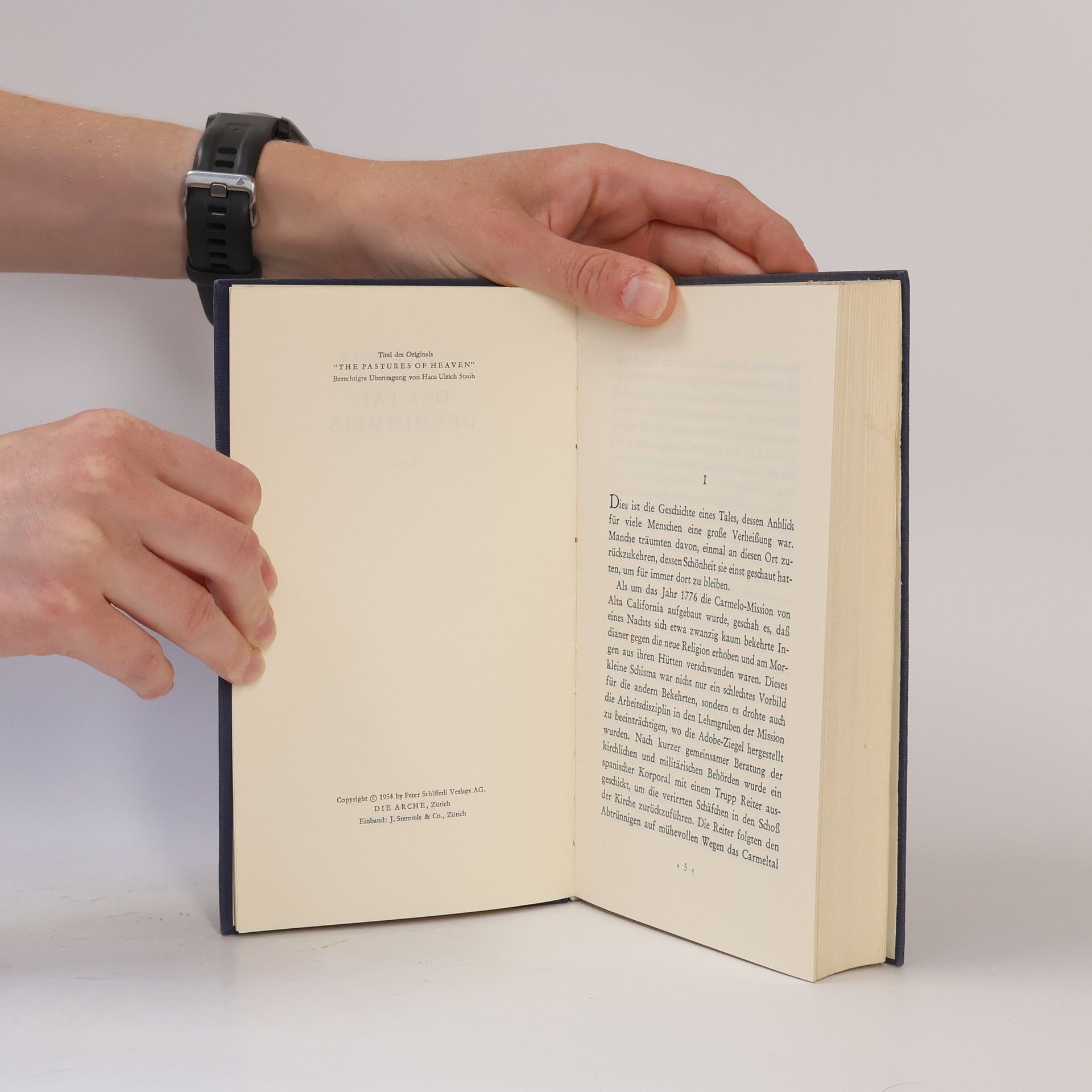John Steinbeck Das Tal des Himmels