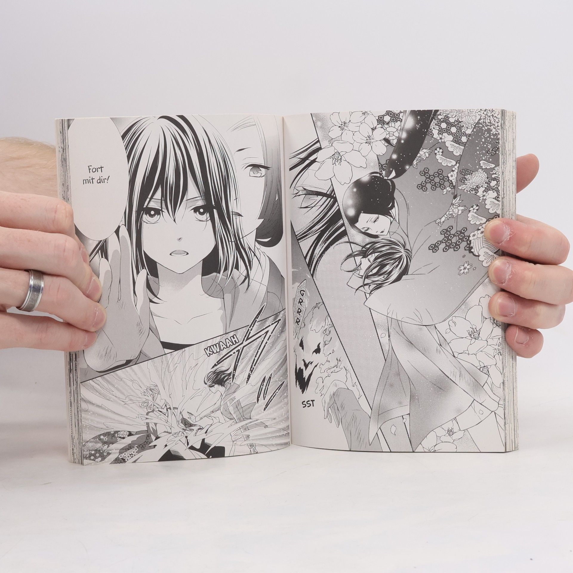 Yuki Shiraishi Die Kirschblütenprinzessin 1