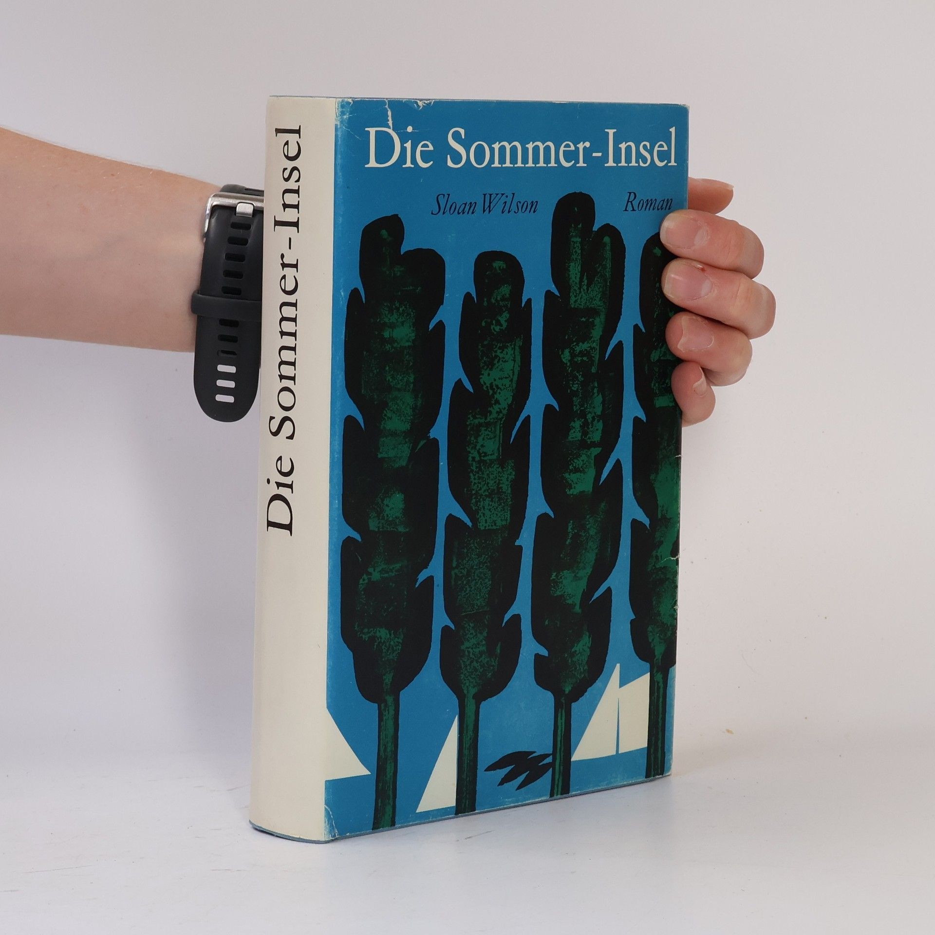 Sloan Wilson Die Sommer-Insel